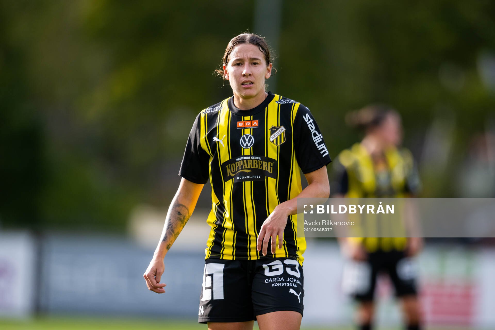 Häckens Tabby Tindell