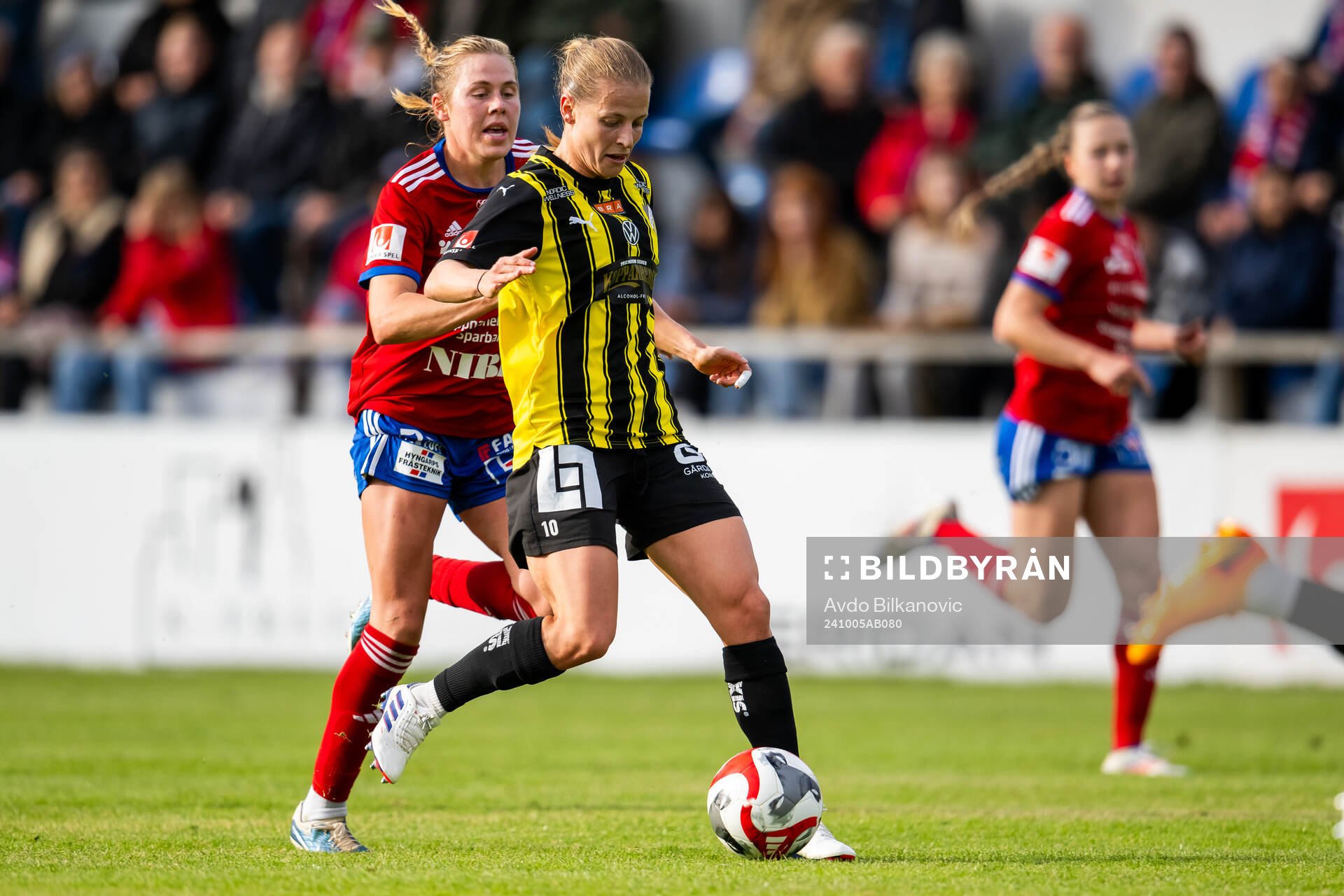 Häckens Anna Anvegård
