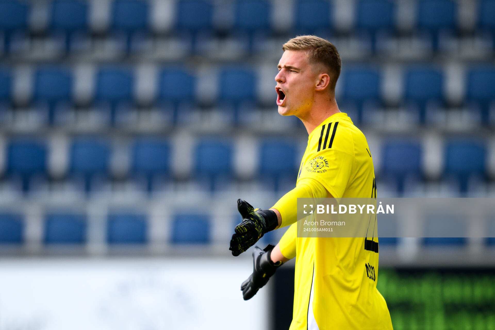 Gefles målvakt Mathias Nilsson