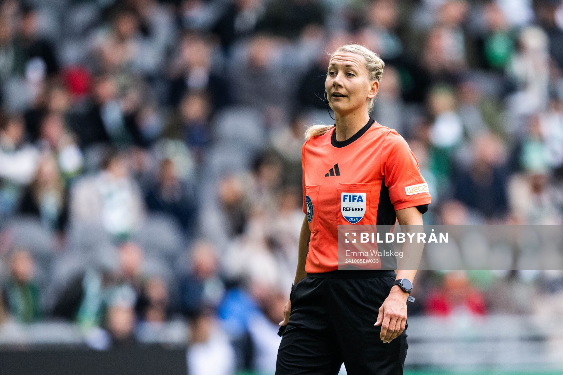 Domare Tess Olofsson