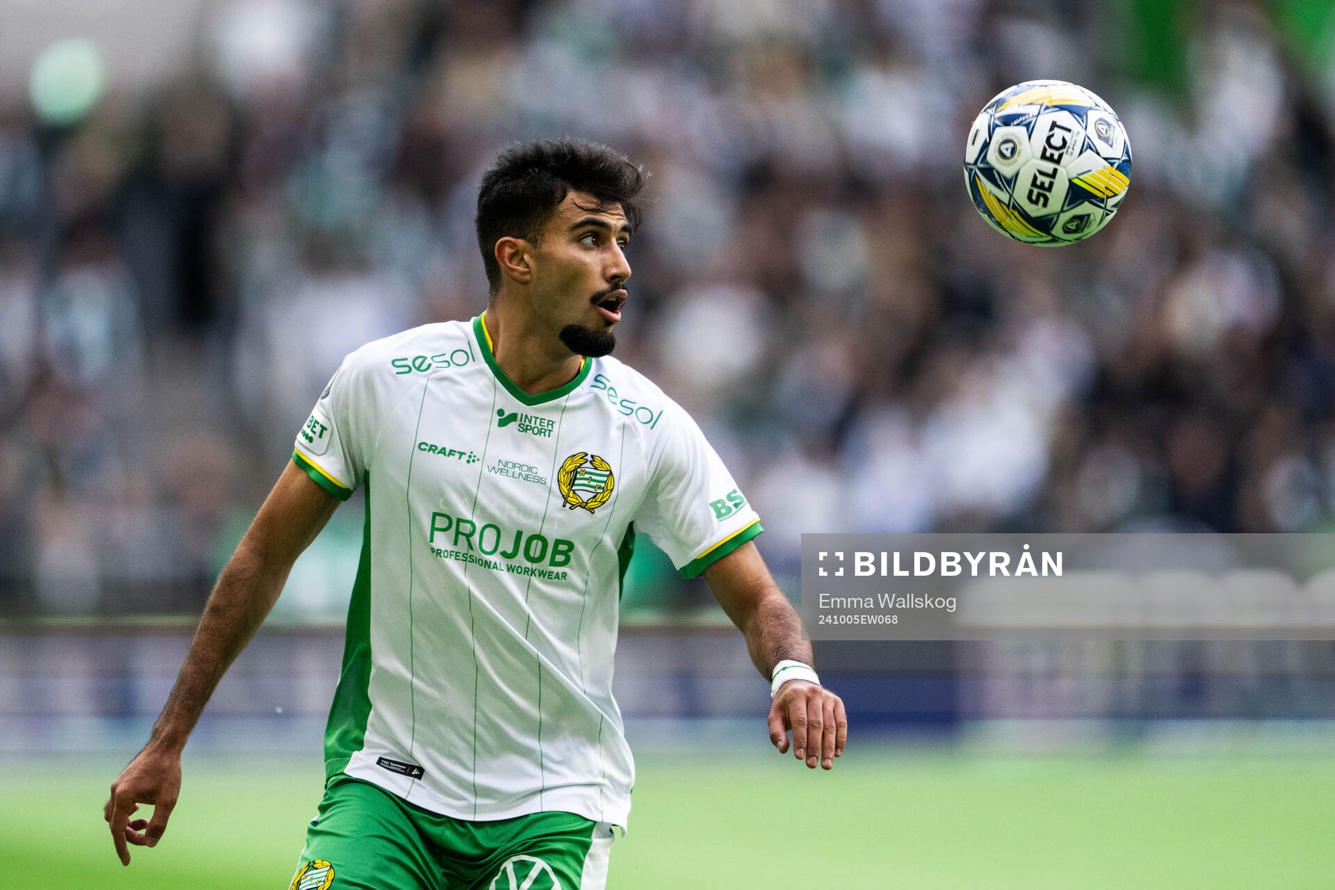 Hammarbys Montader Madjed