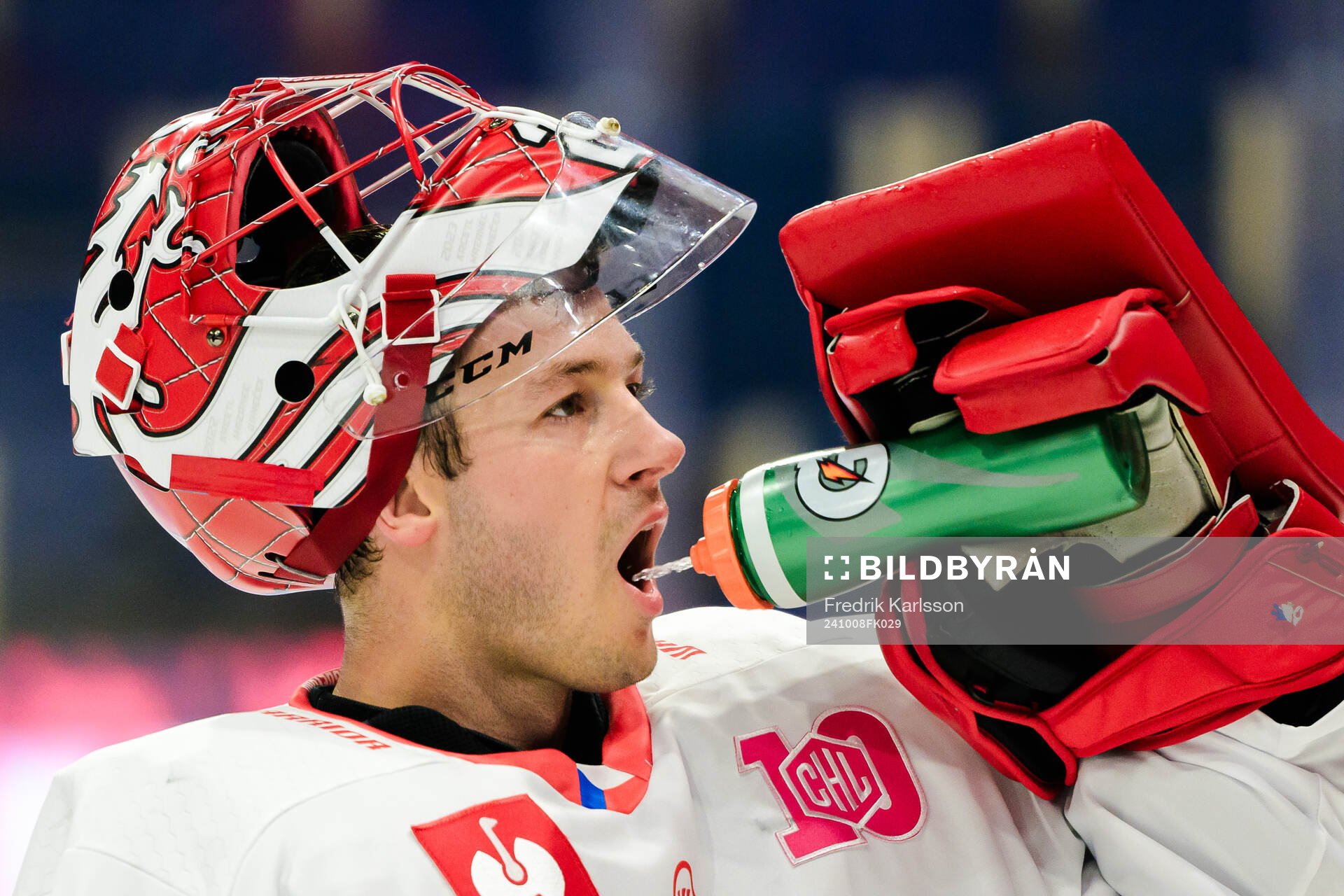 goaltender Marek Mazanec of Ocelari Trinec