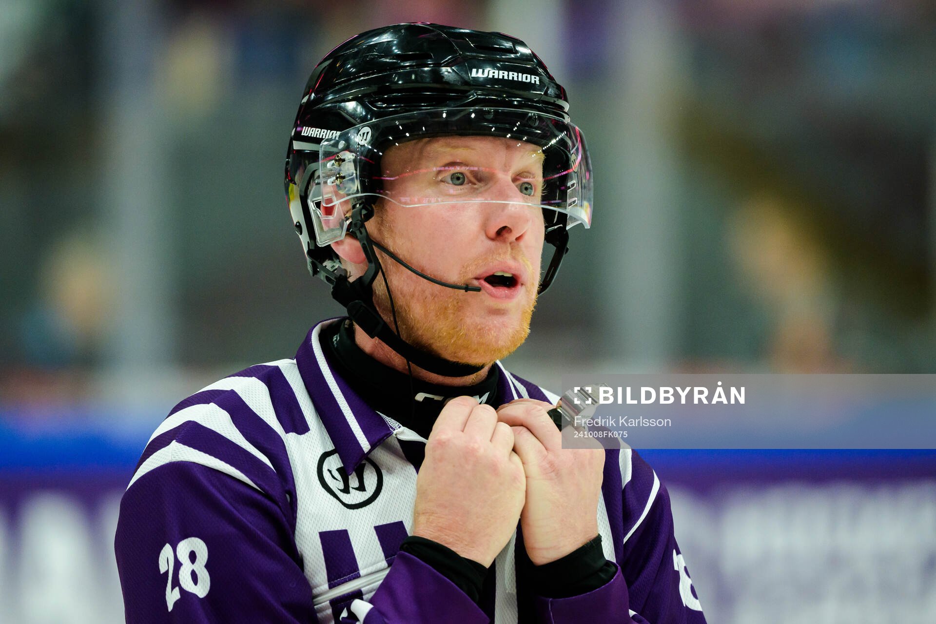 Referee Mikael Holm