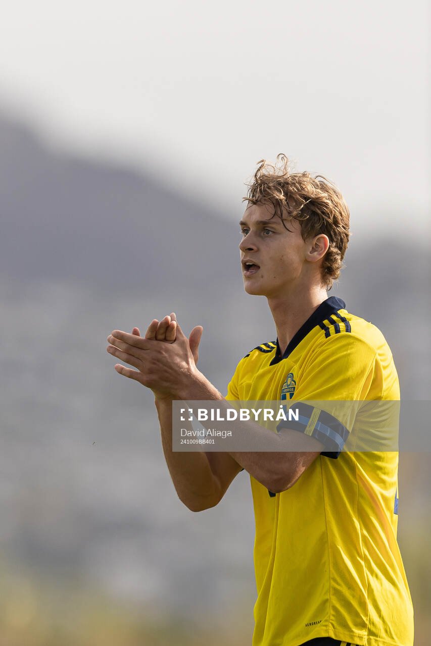 Maximilian Ibrahimovic of Sweden