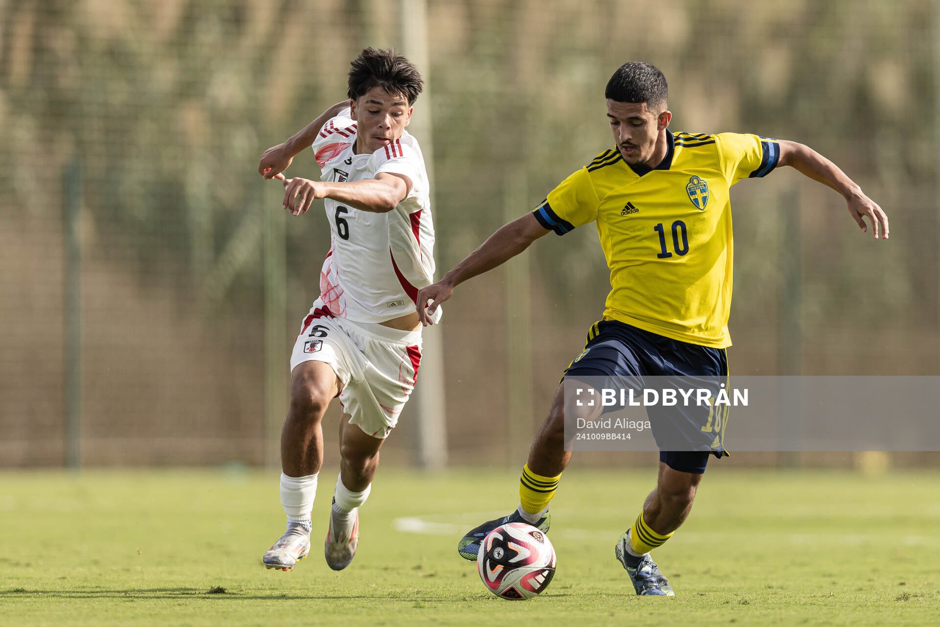 Nick Schmidt of Japan and Zakaria Loukili of Sweden