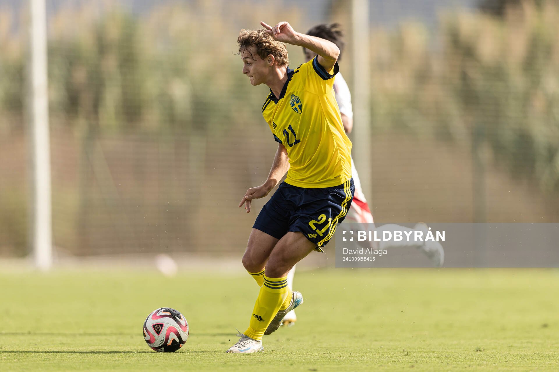 Maximilian Ibrahimovic of Sweden