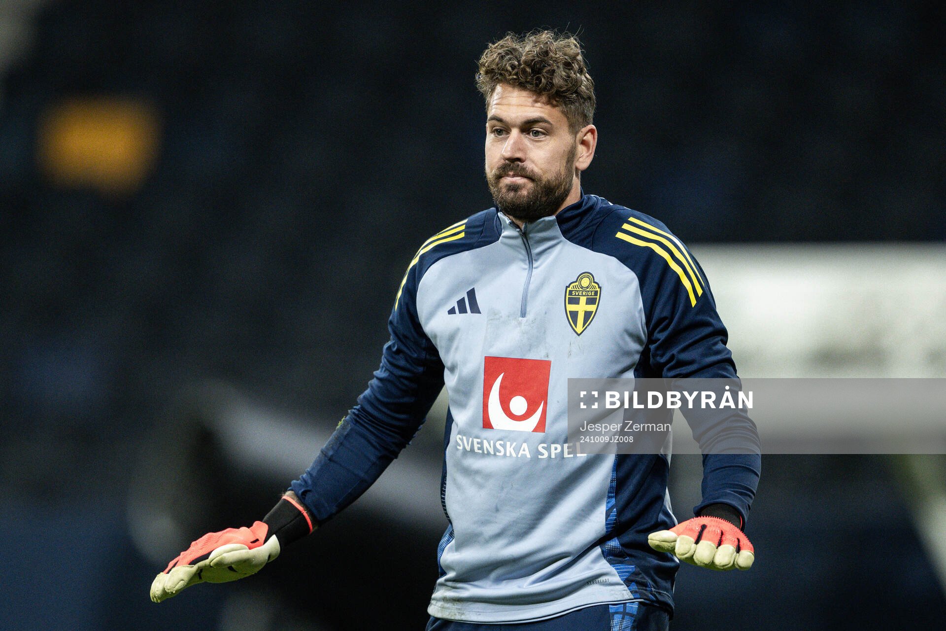 goalkeeper Kristoffer Nordfeldt of the Swedish men's