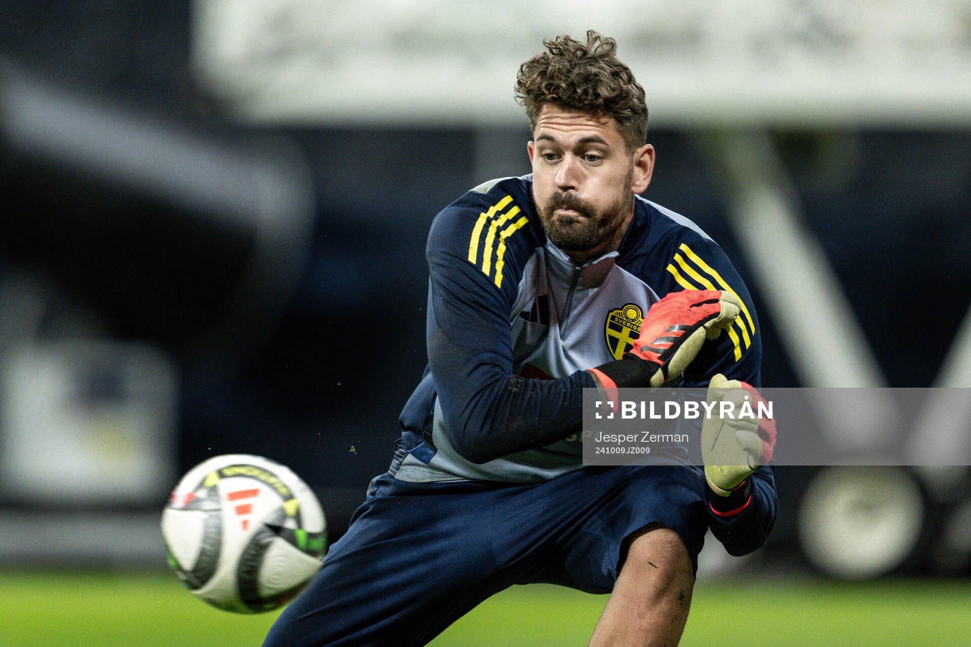 goalkeeper Kristoffer Nordfeldt of the Swedish men's