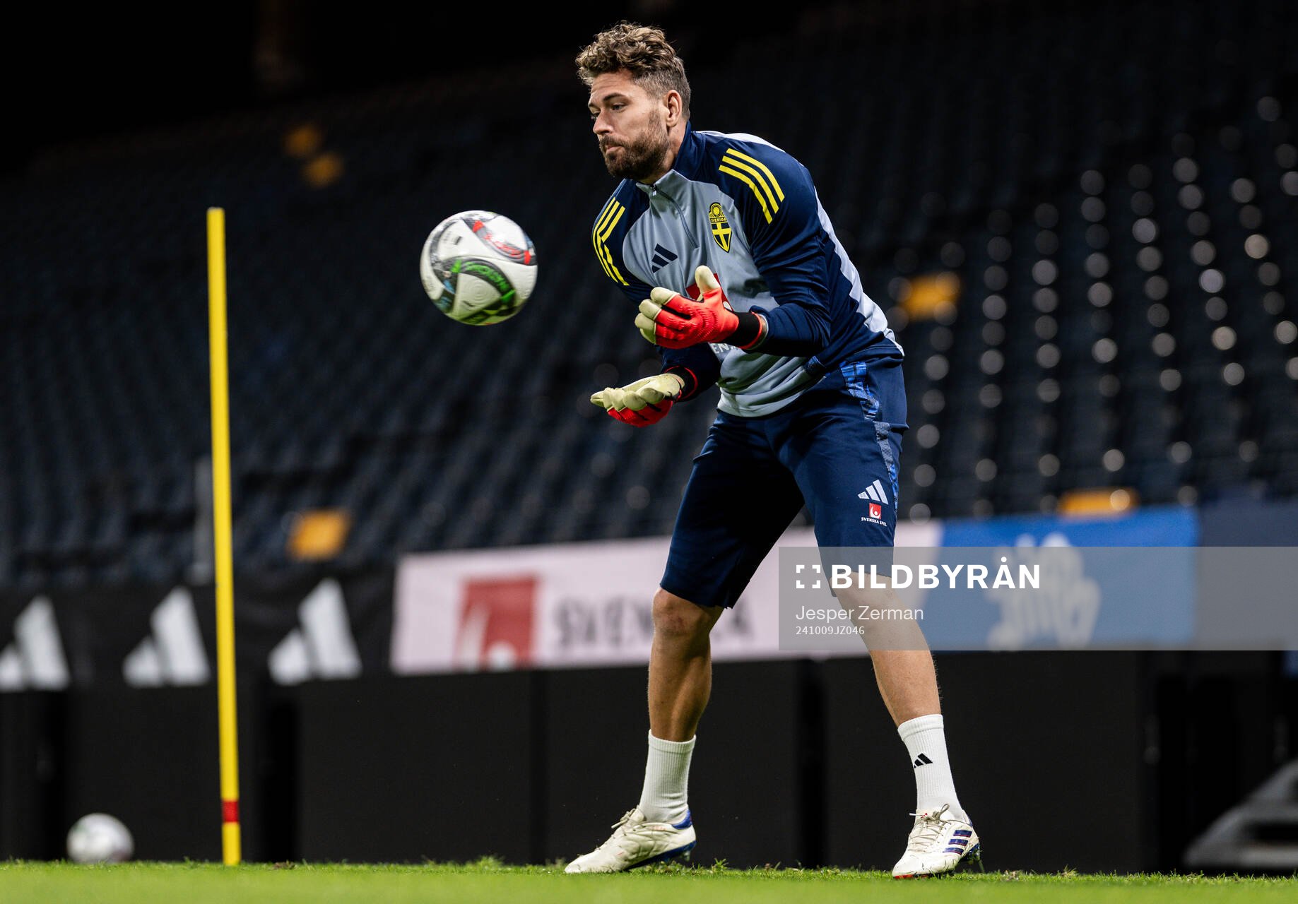 goalkeeper Kristoffer Nordfeldt of the Swedish men's