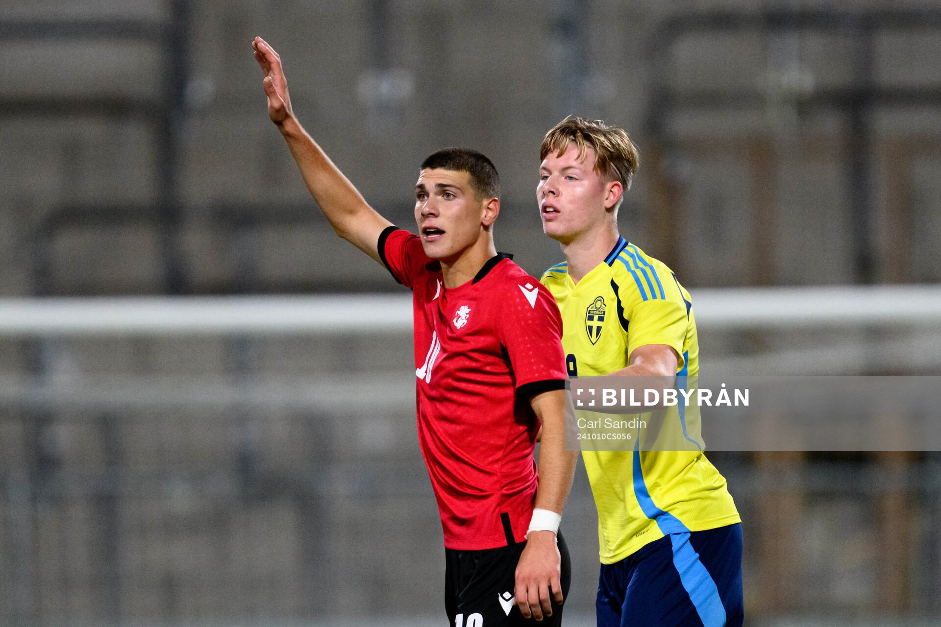Giorgi Kvernadze of Georgia and Nils Zätterström of Sweden