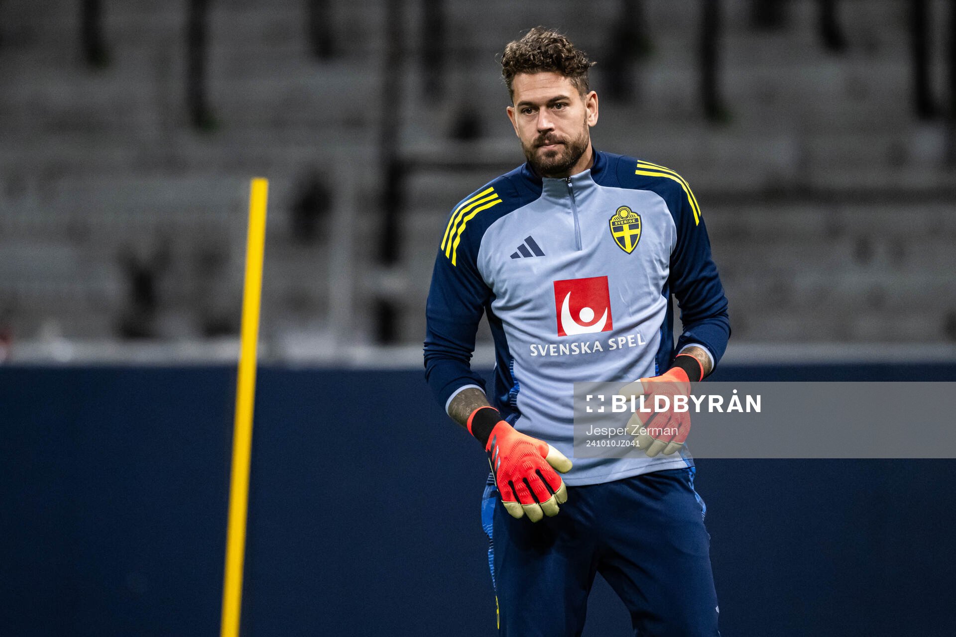 goalkeeper Kristoffer Nordfeldt of the Swedish men's