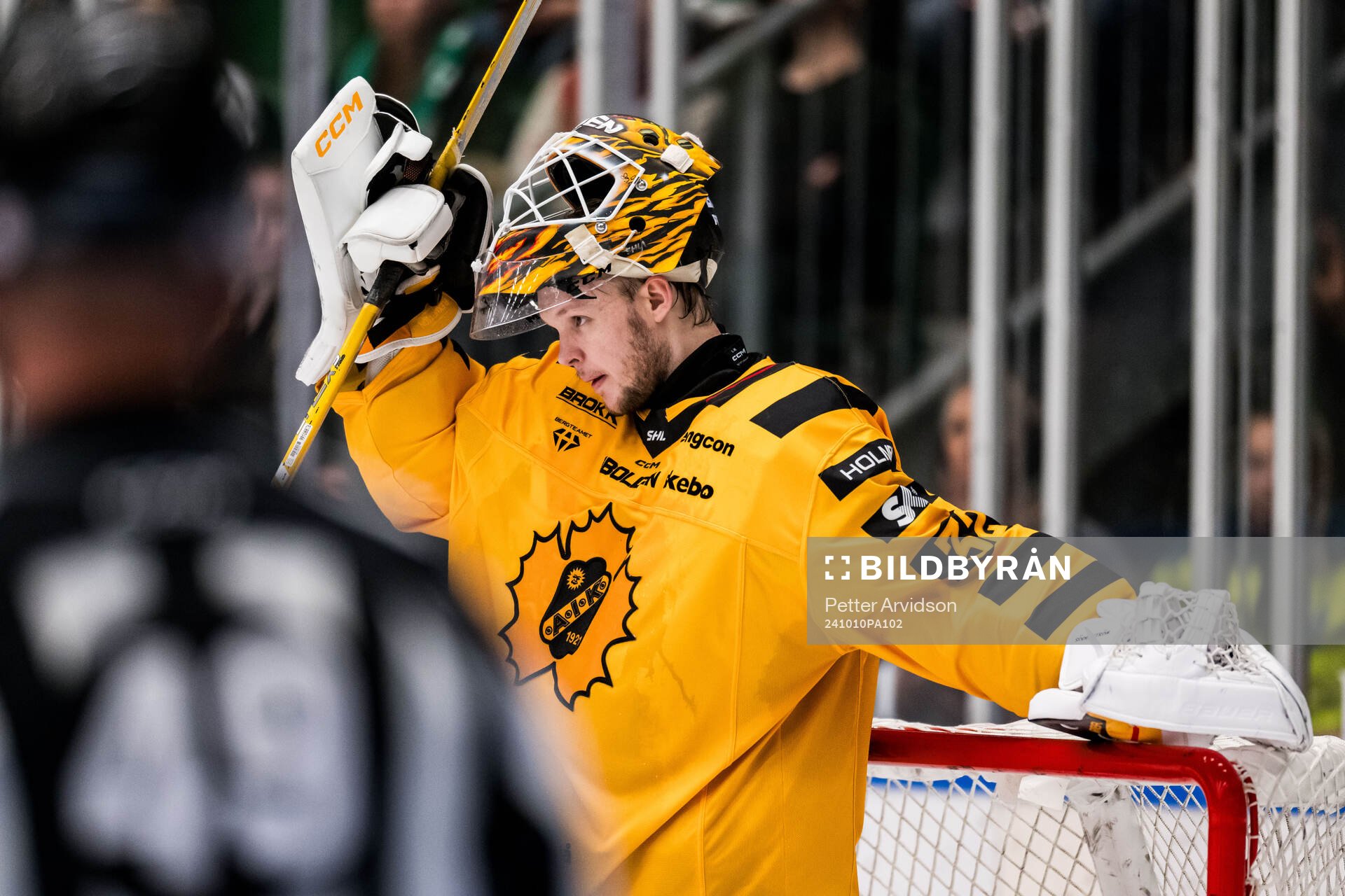 Skellefteås målvakt Linus Söderström