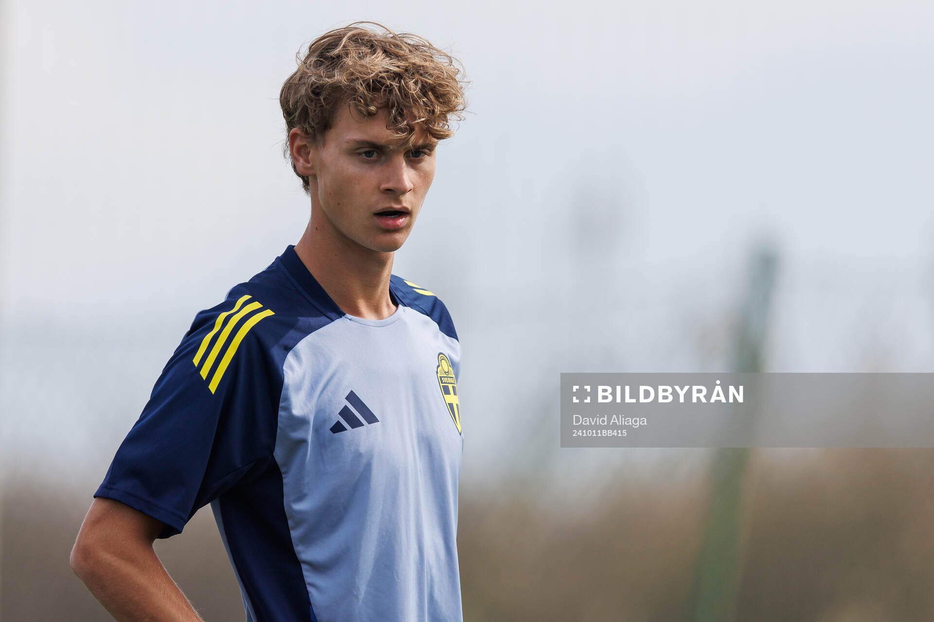 Maximilian Ibrahimovic of Sweden