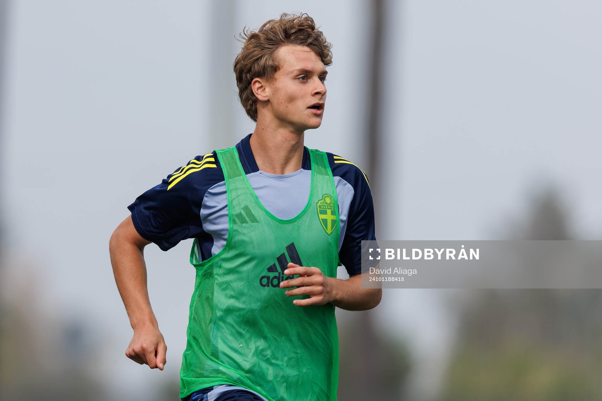 Maximilian Ibrahimovic of Sweden