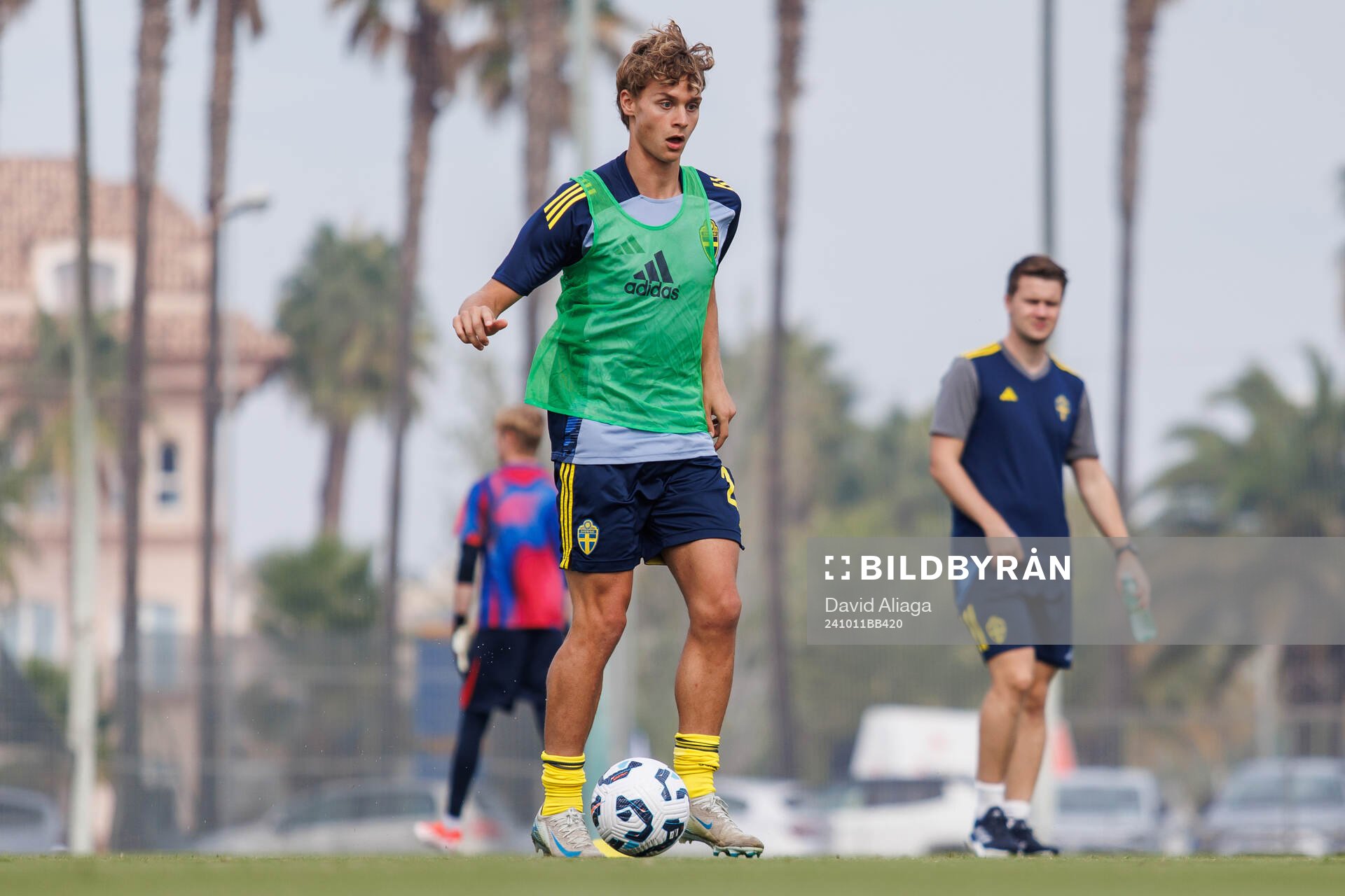 Maximilian Ibrahimovic of Sweden