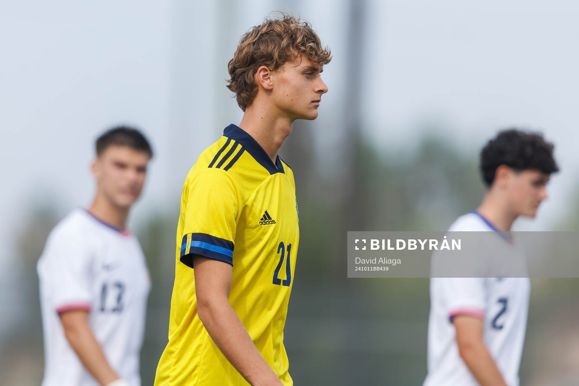 Maximilian Ibrahimovic of Sweden