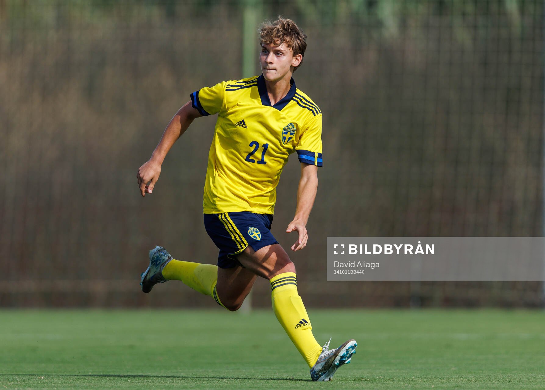 Maximilian Ibrahimovic of Sweden