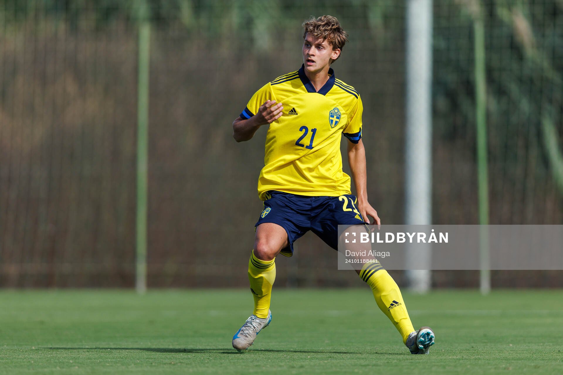 Maximilian Ibrahimovic of Sweden