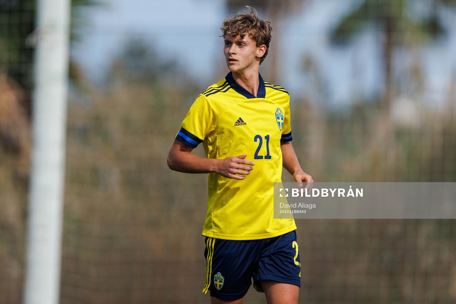 Maximilian Ibrahimovic of Sweden