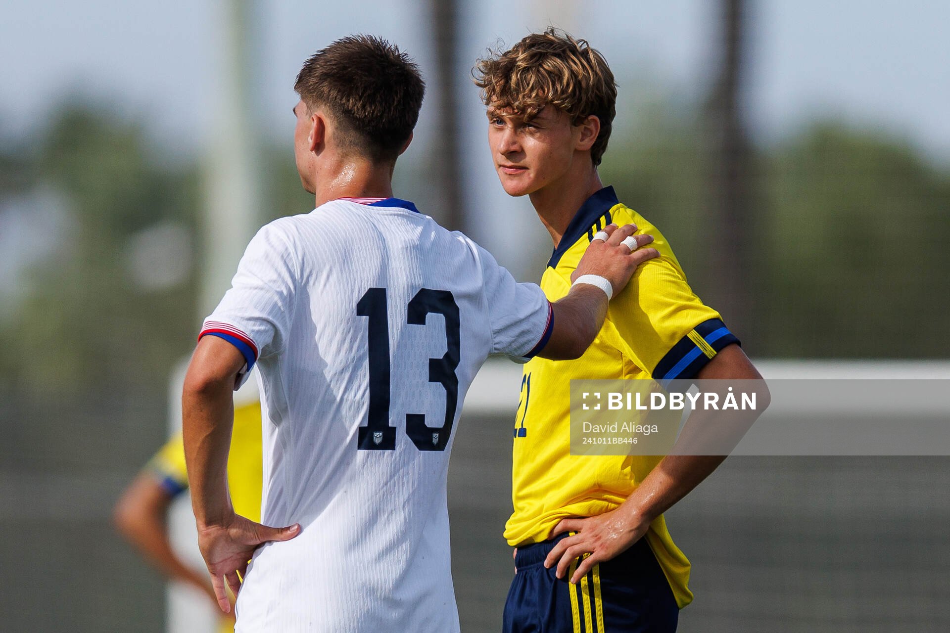 Maximilian Ibrahimovic of Sweden