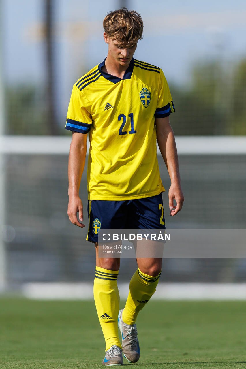 Maximilian Ibrahimovic of Sweden
