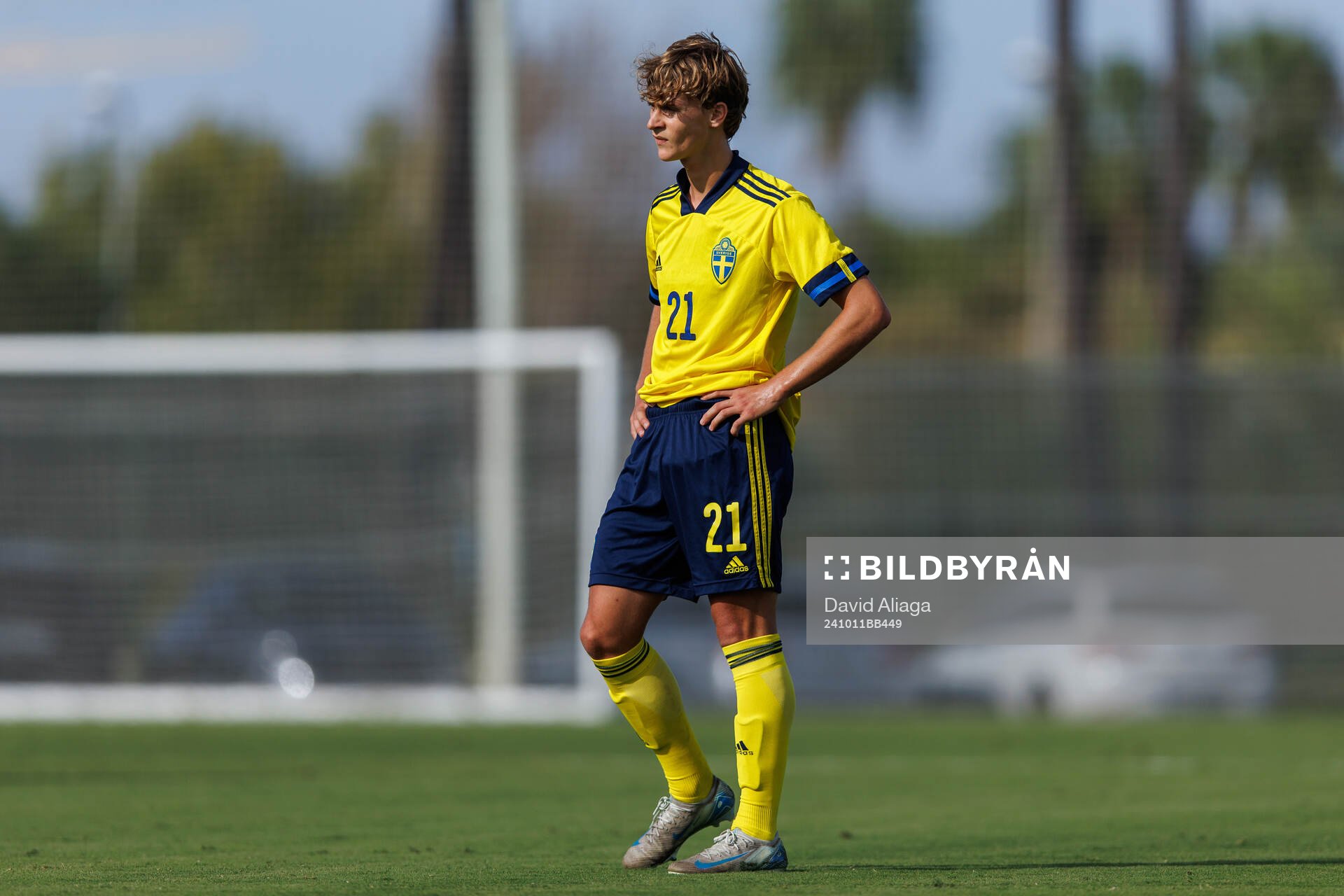 Maximilian Ibrahimovic of Sweden