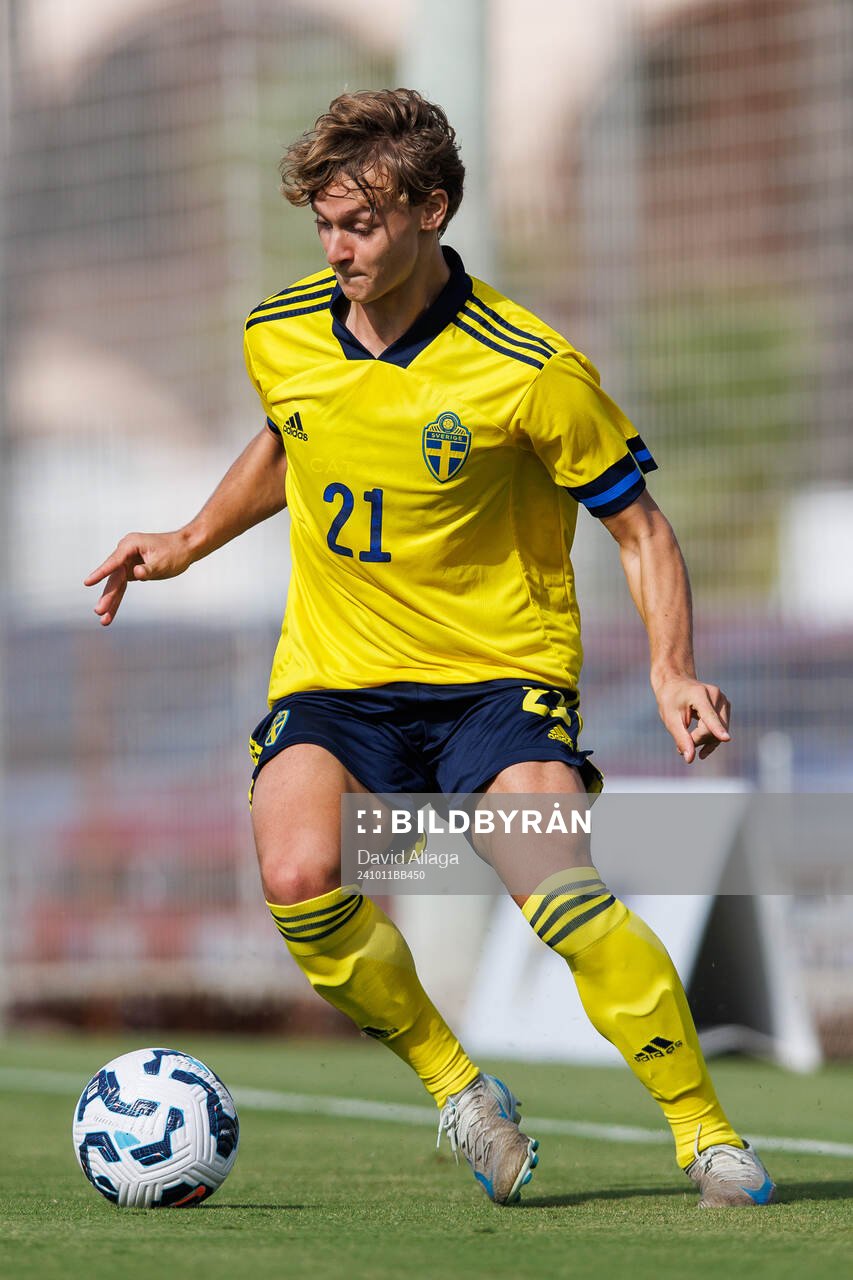Maximilian Ibrahimovic of Sweden