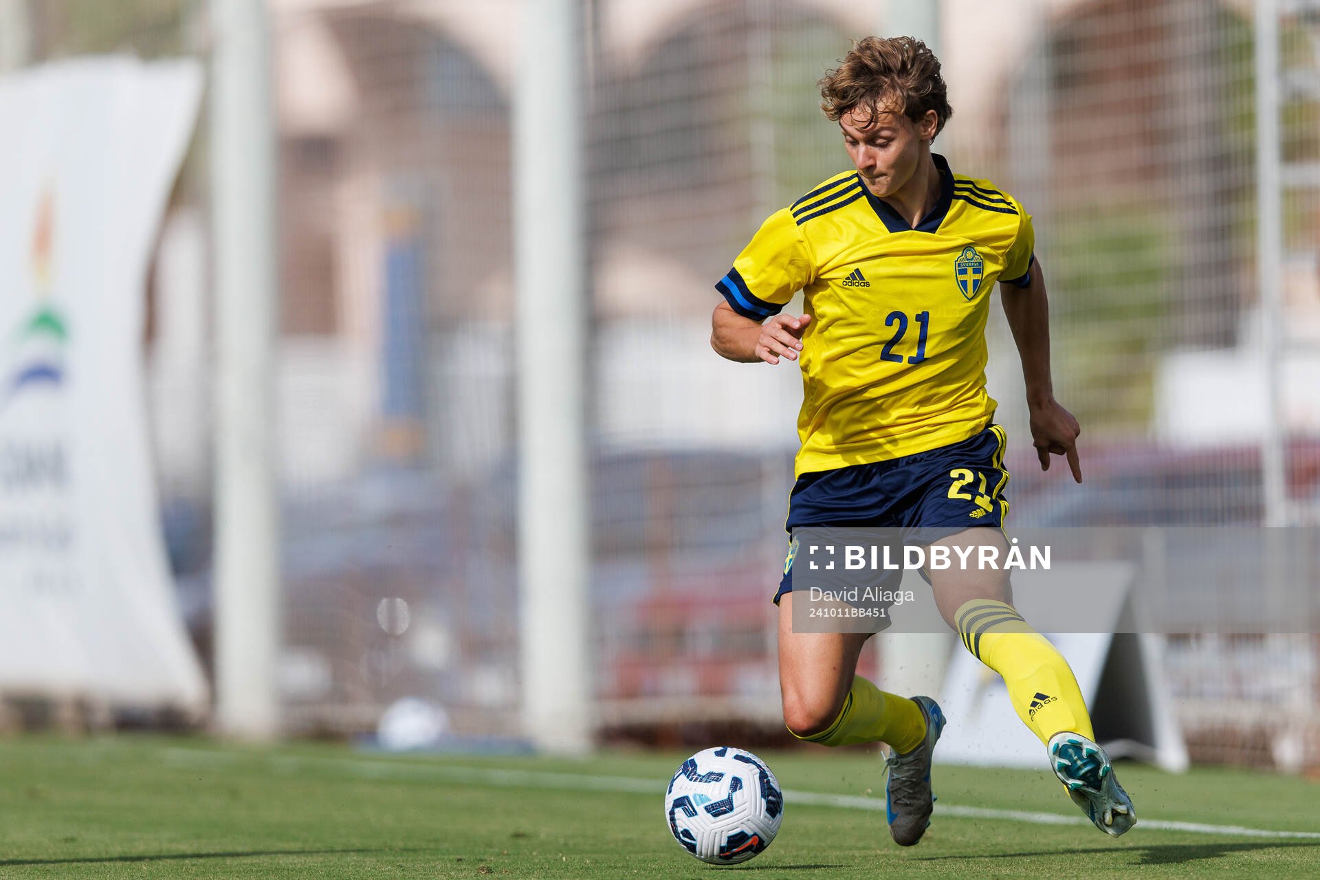 Maximilian Ibrahimovic of Sweden