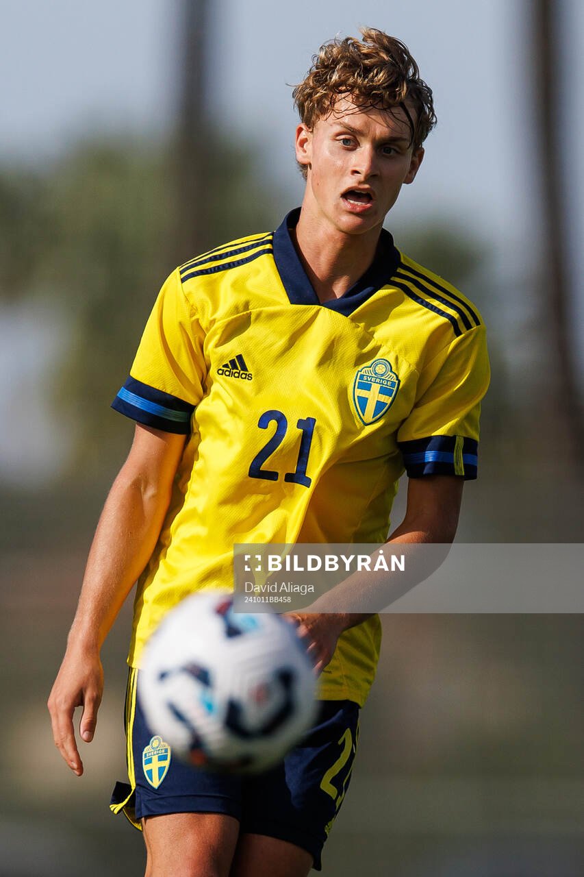 Maximilian Ibrahimovic of Sweden