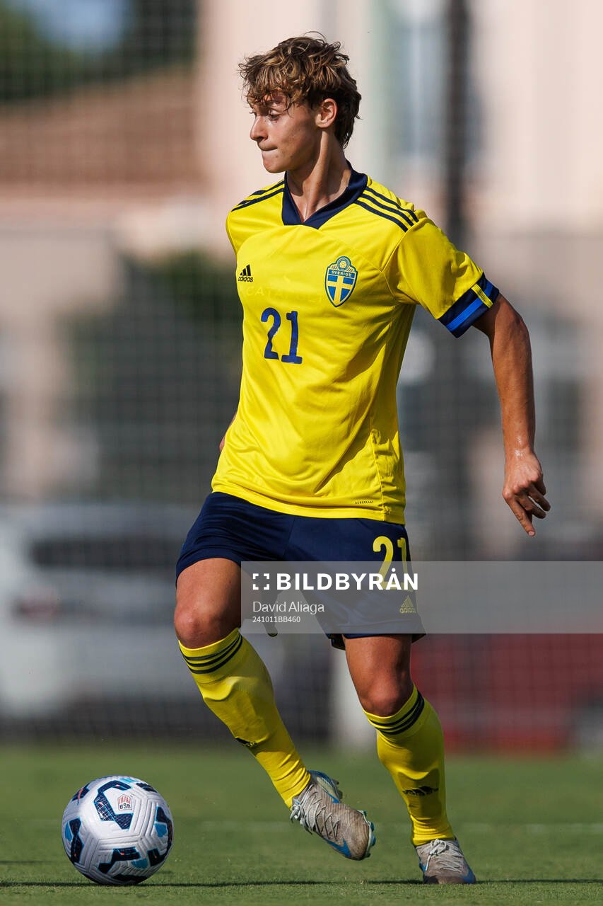 Maximilian Ibrahimovic of Sweden