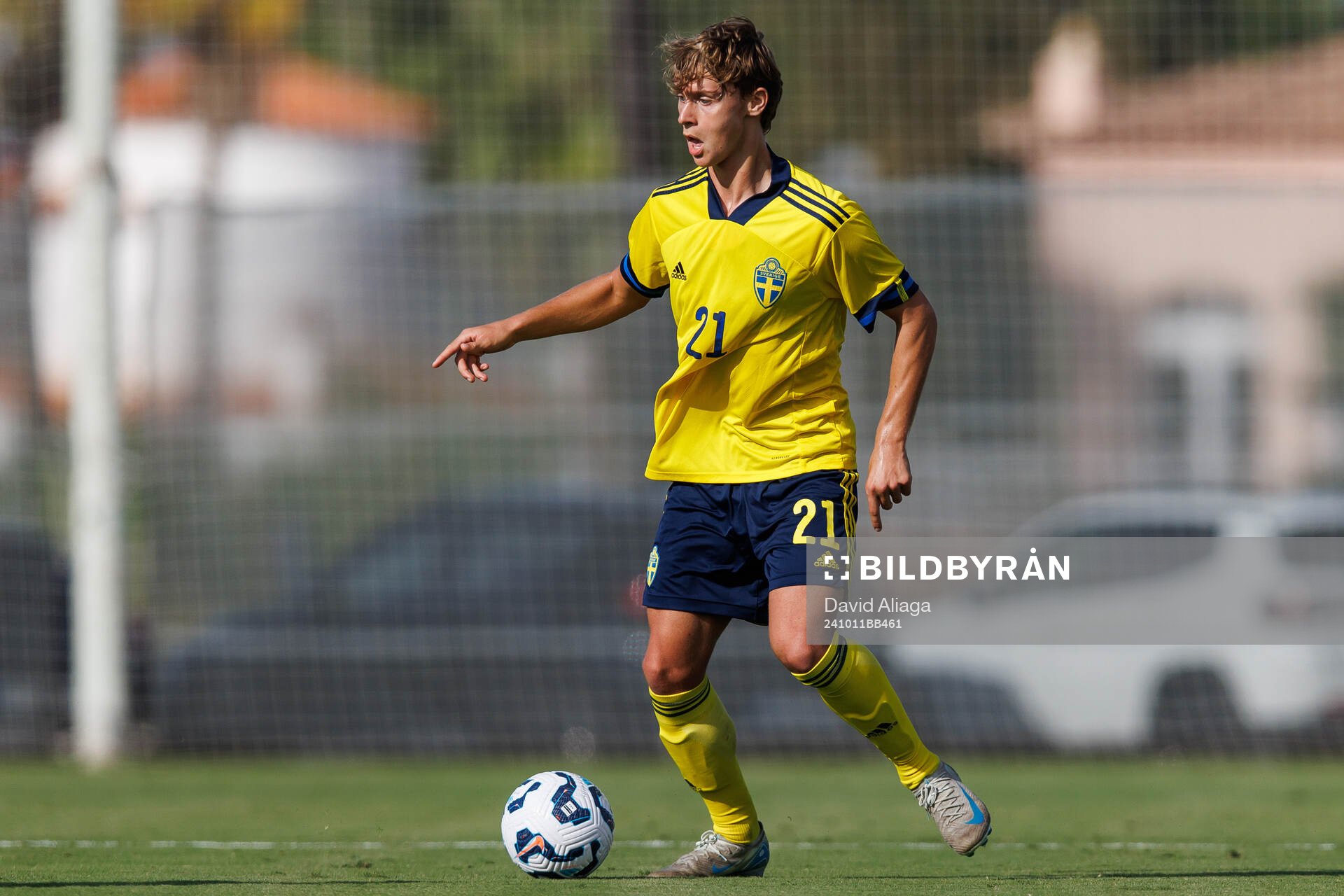 Maximilian Ibrahimovic of Sweden
