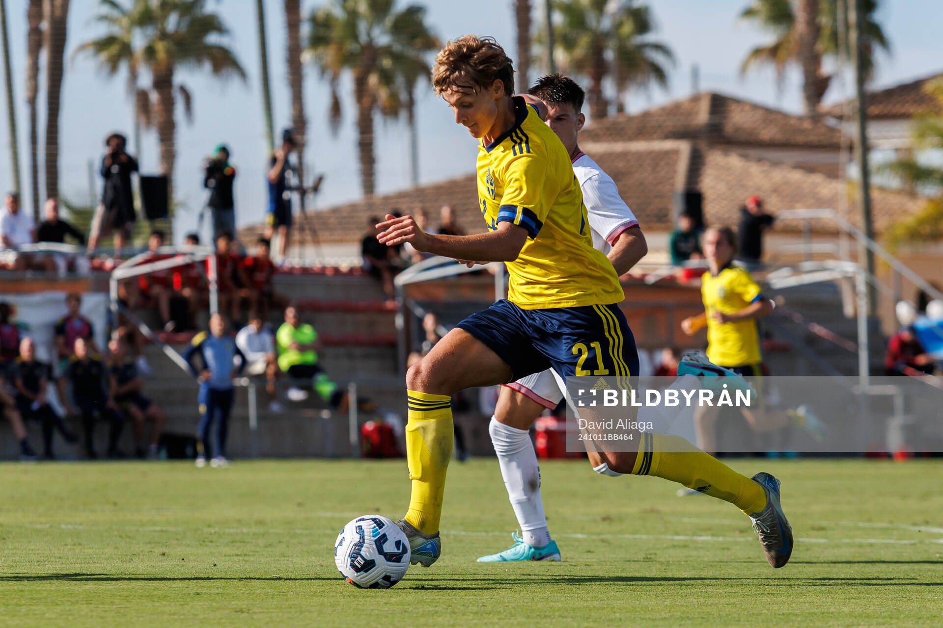 Maximilian Ibrahimovic of Sweden