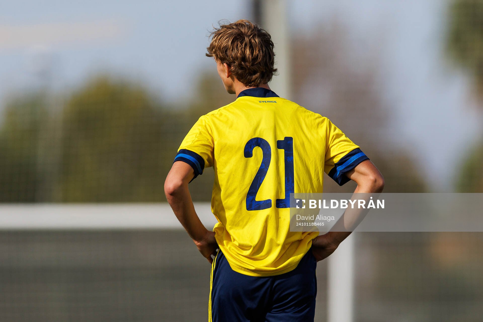 Maximilian Ibrahimovic of Sweden