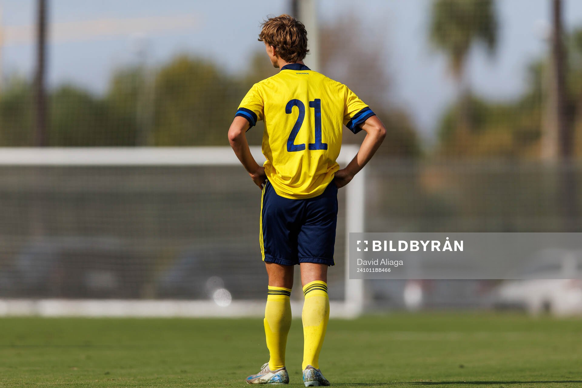 Maximilian Ibrahimovic of Sweden