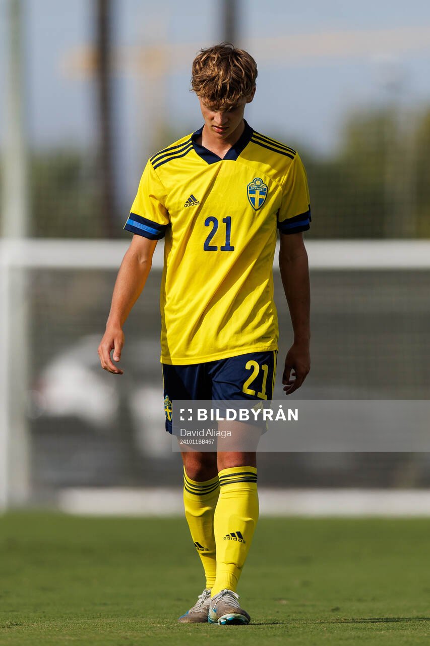 Maximilian Ibrahimovic of Sweden