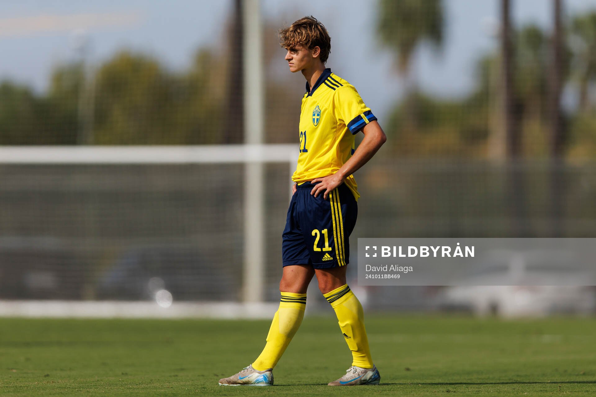 Maximilian Ibrahimovic of Sweden