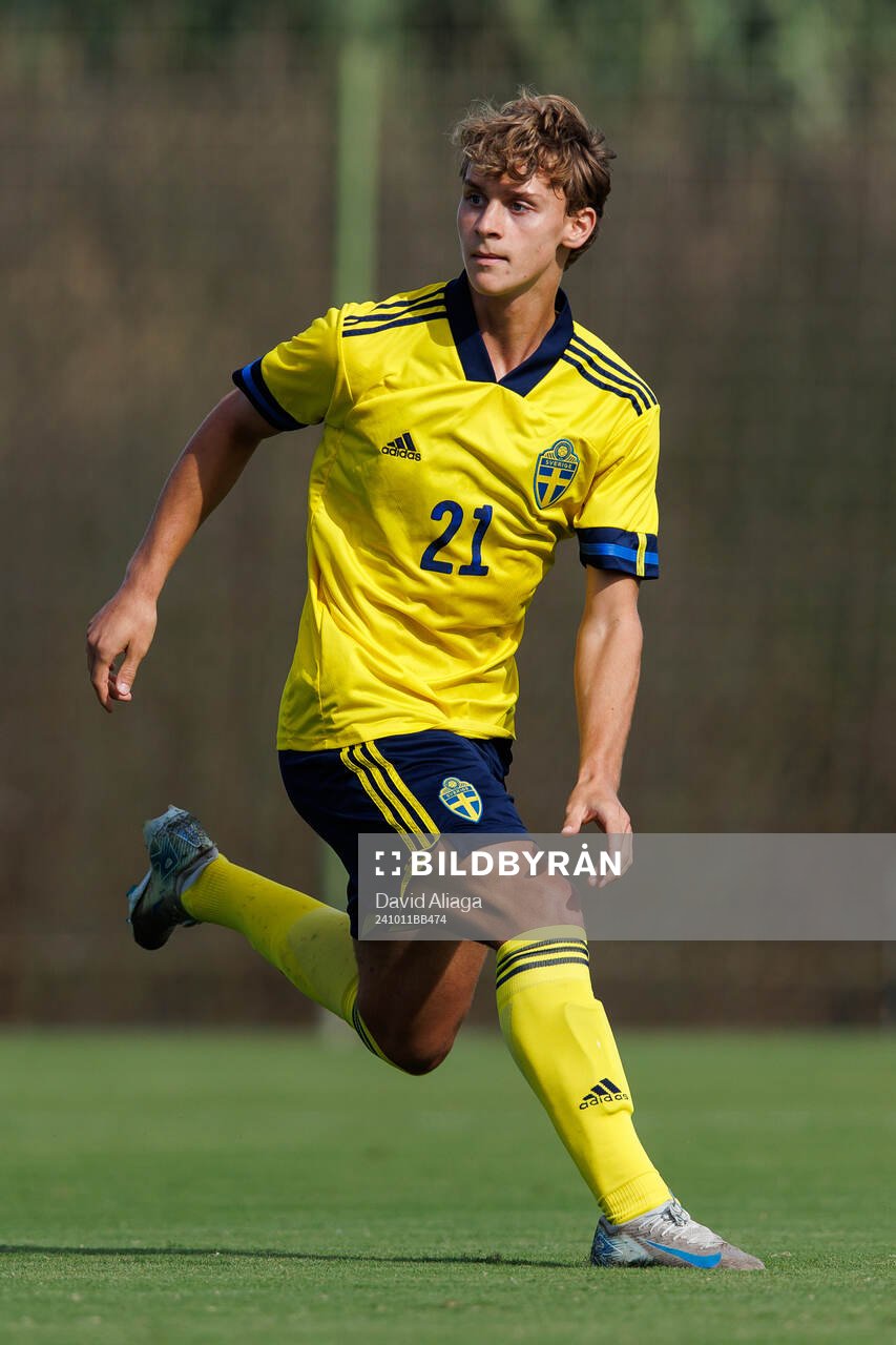 Maximilian Ibrahimovic of Sweden