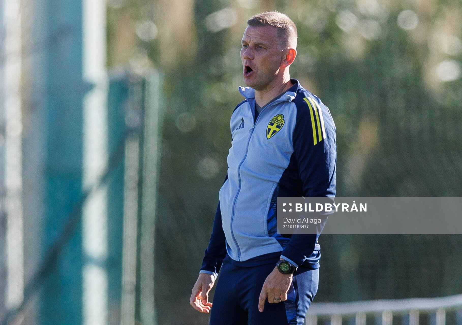 head coach Andreas Pettersson of Sweden