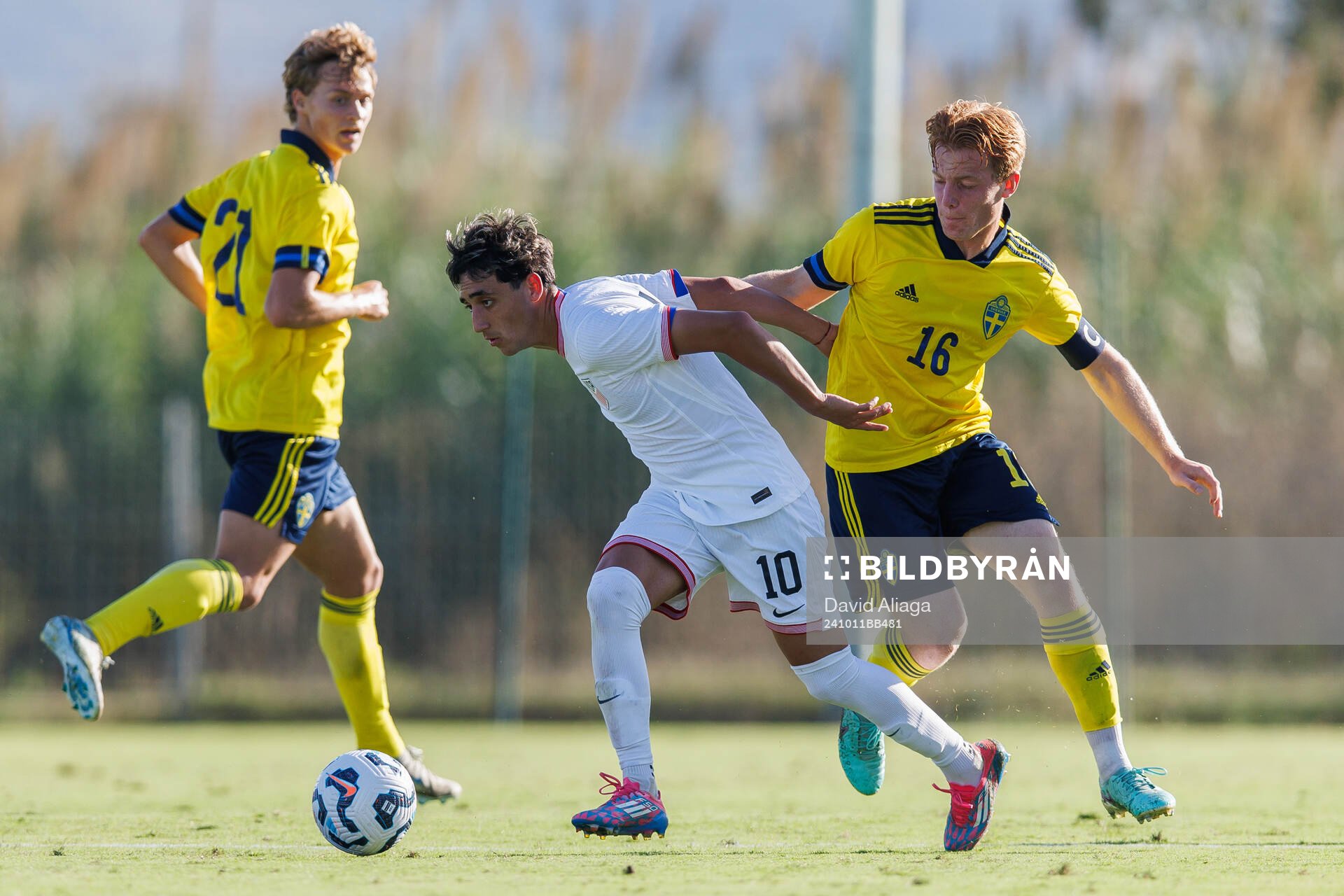Maximilian Ibrahimovic and William Andersson of Sweden