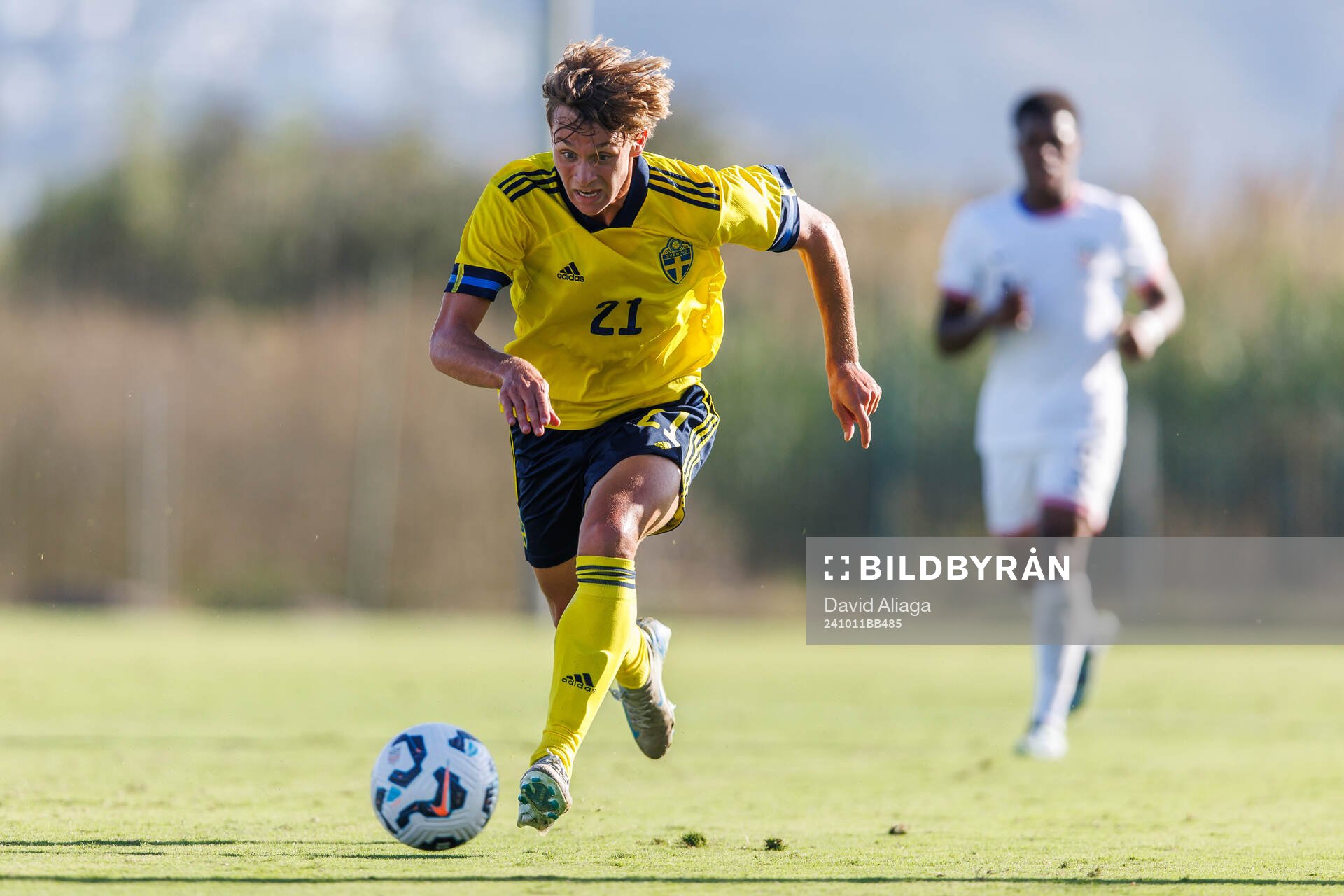 Maximilian Ibrahimovic of Sweden