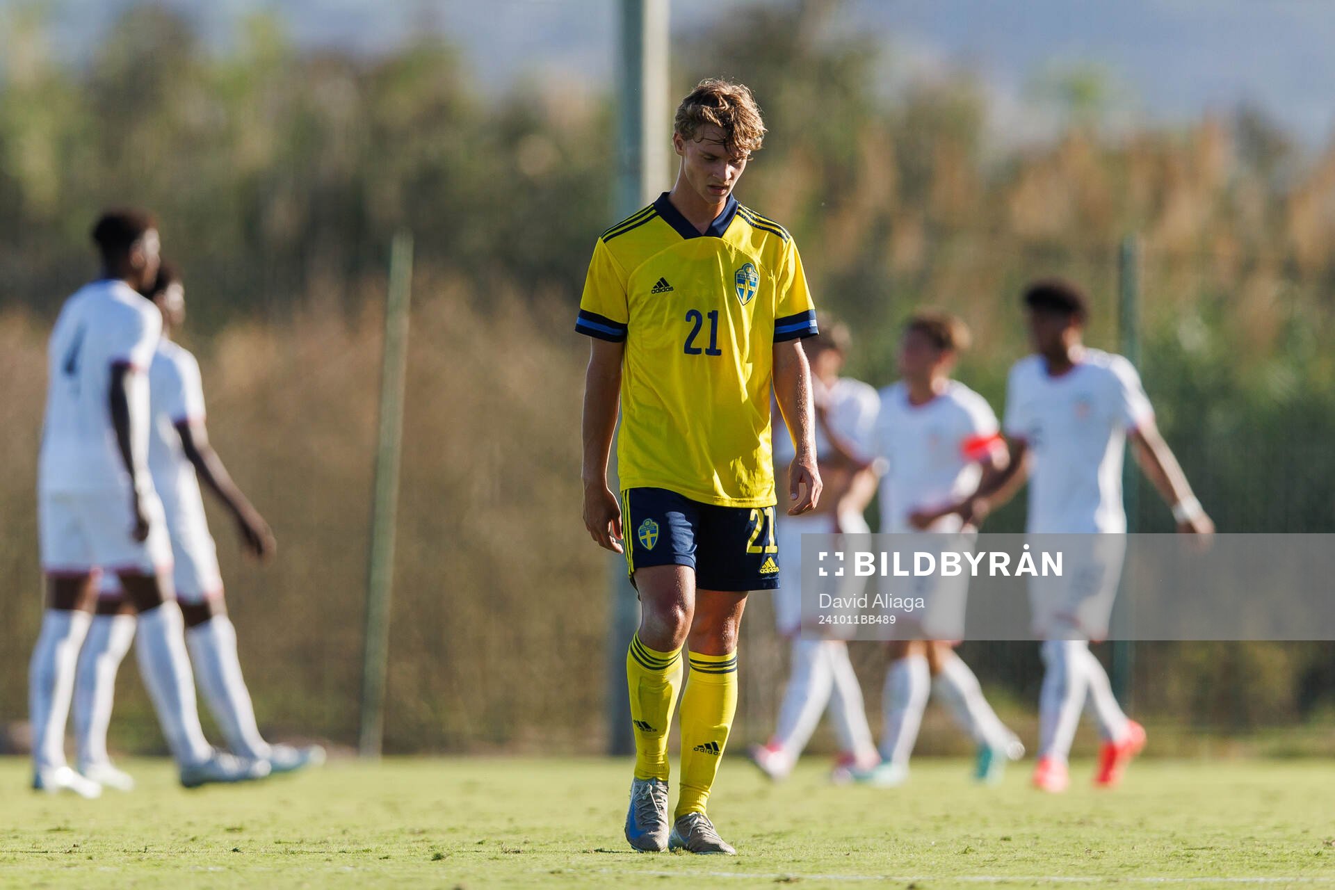 Maximilian Ibrahimovic of Sweden