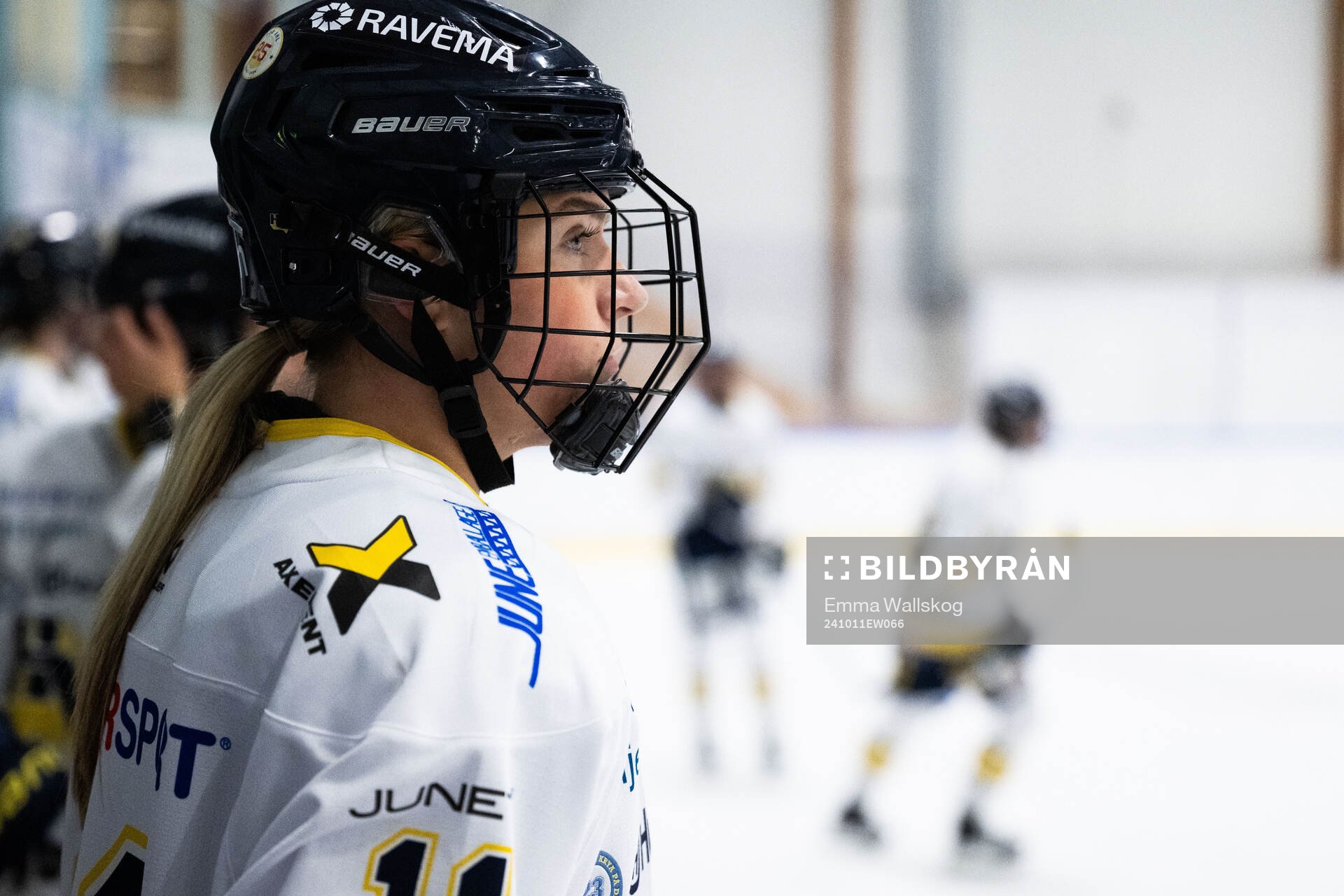 HV71s Alva Solberg