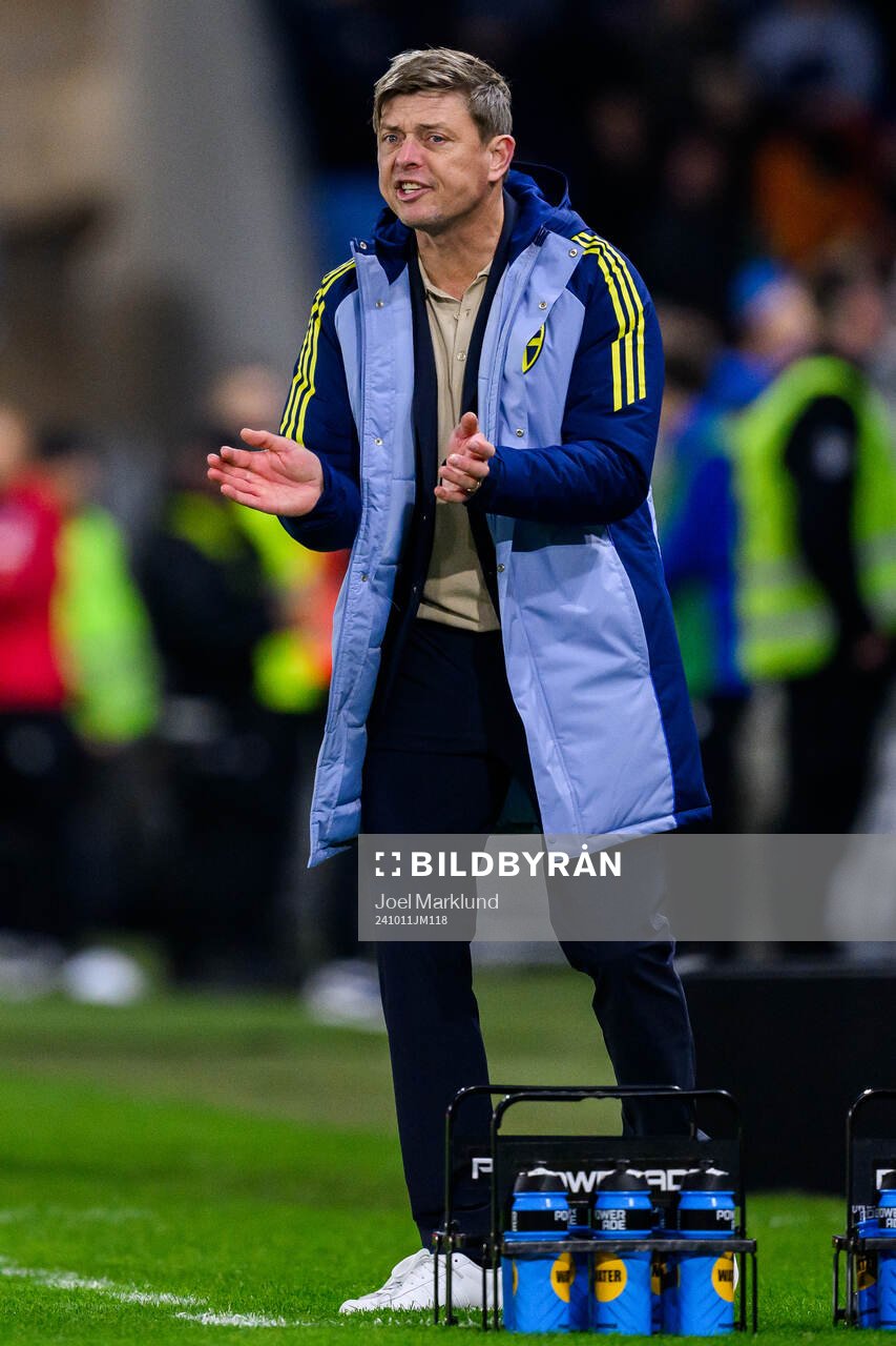 head coach Jon Dahl Tomasson of Sweden