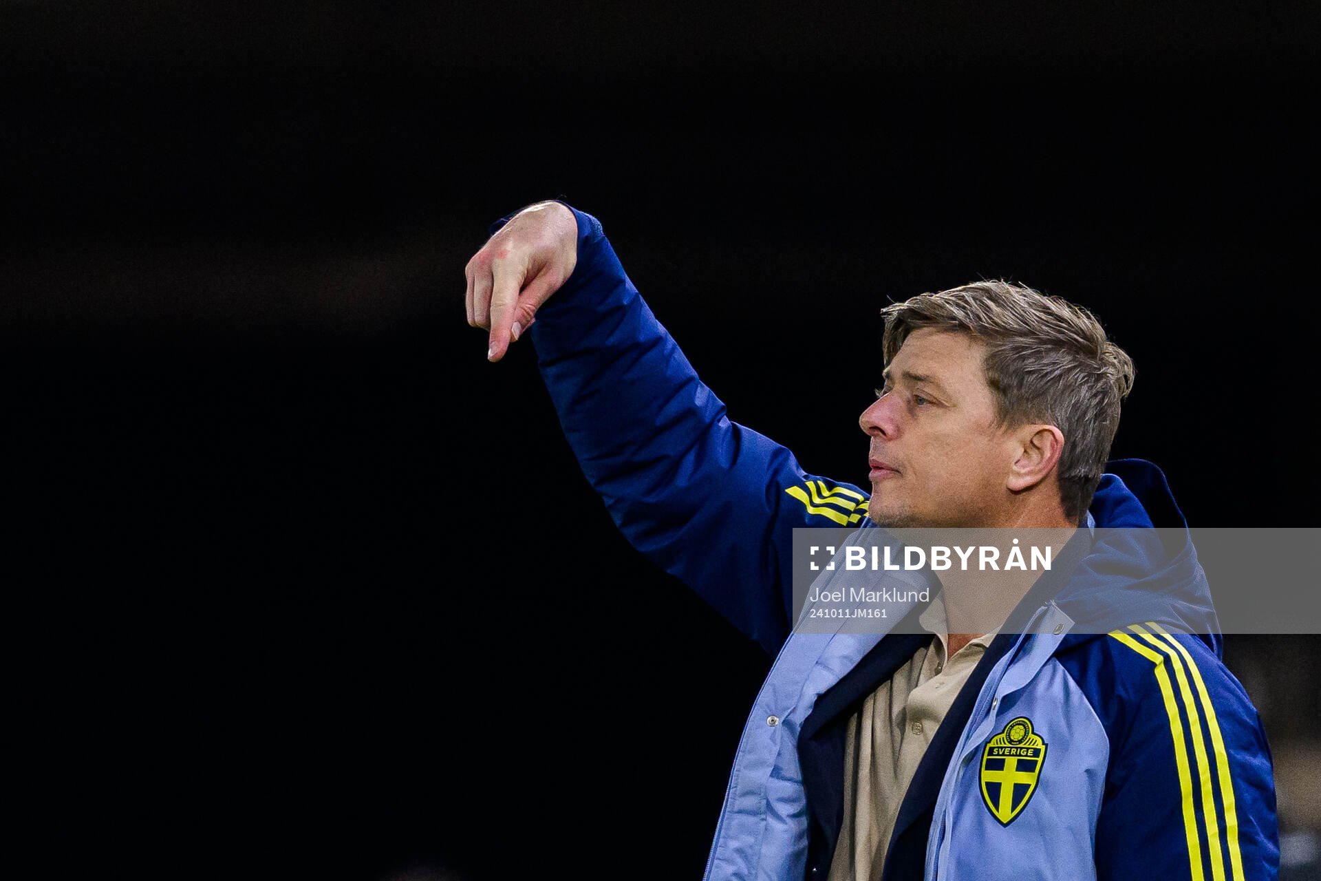 head coach Jon Dahl Tomasson of Sweden