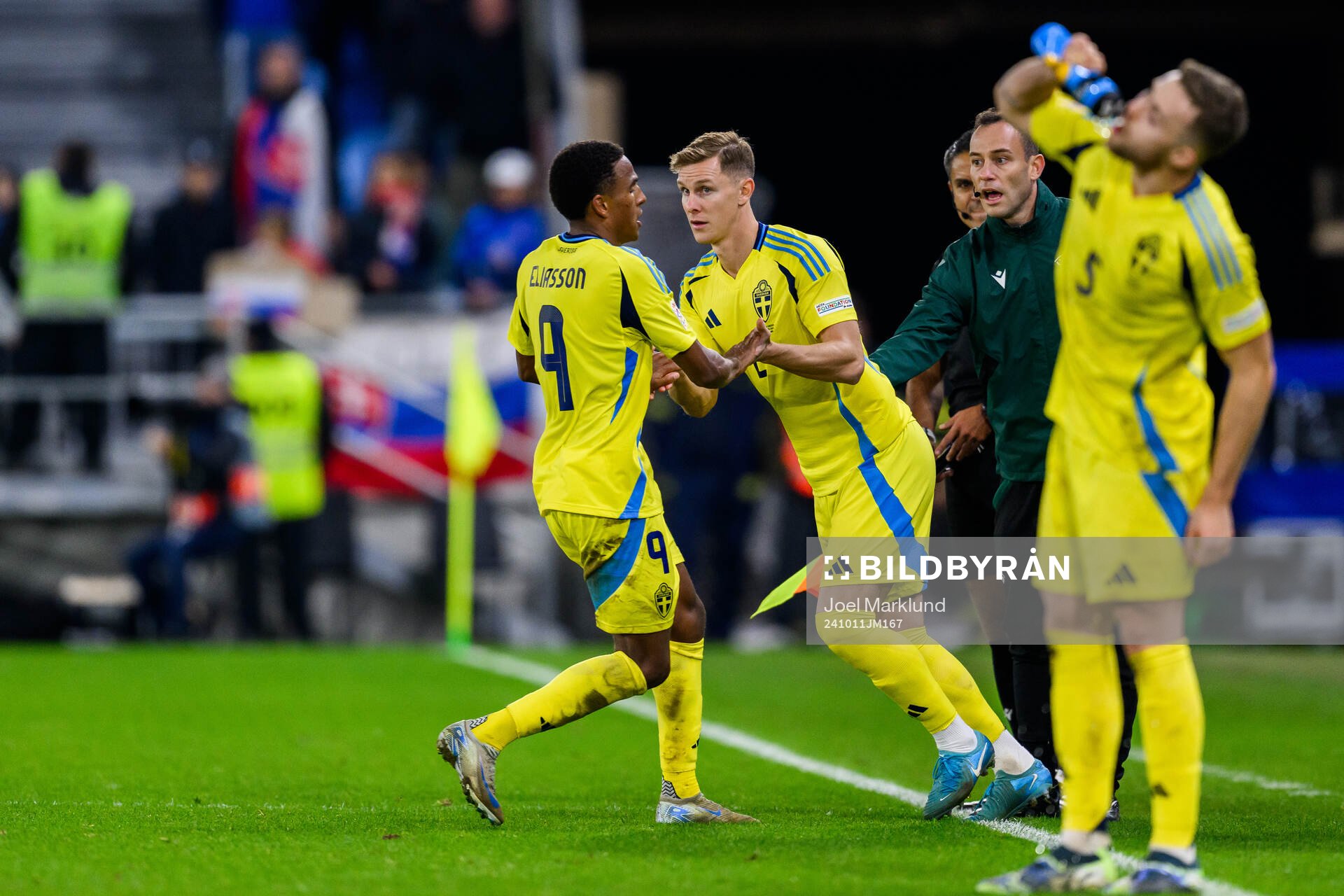 Niclas Eliasson and Emil Krafth of Sweden