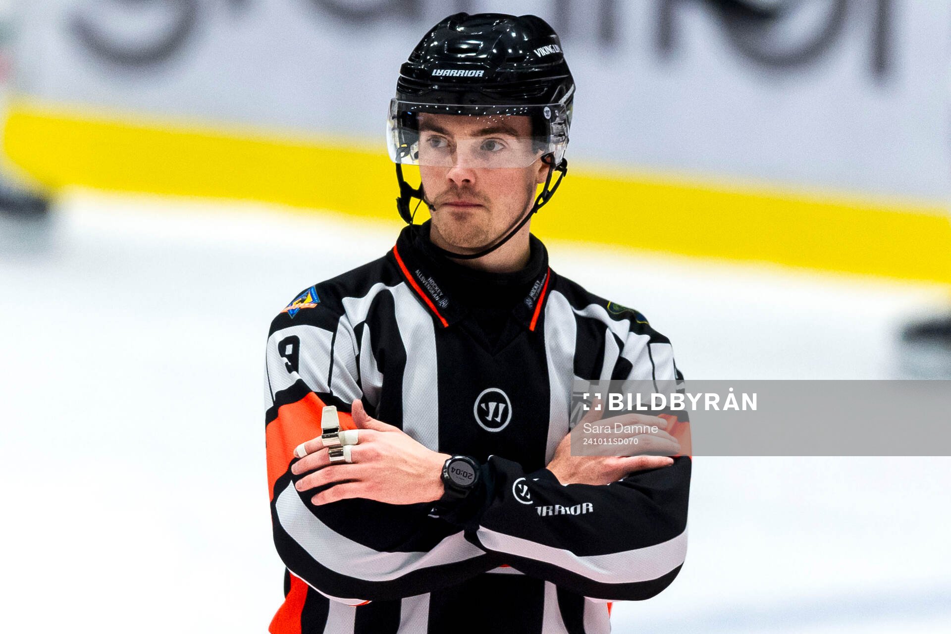 Domare Filip Eriksson