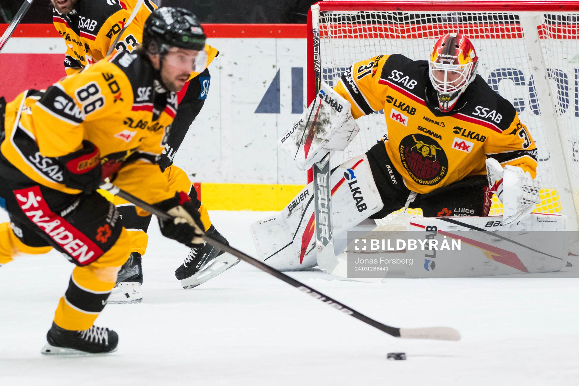 Luleås målvakt Matteus Ward