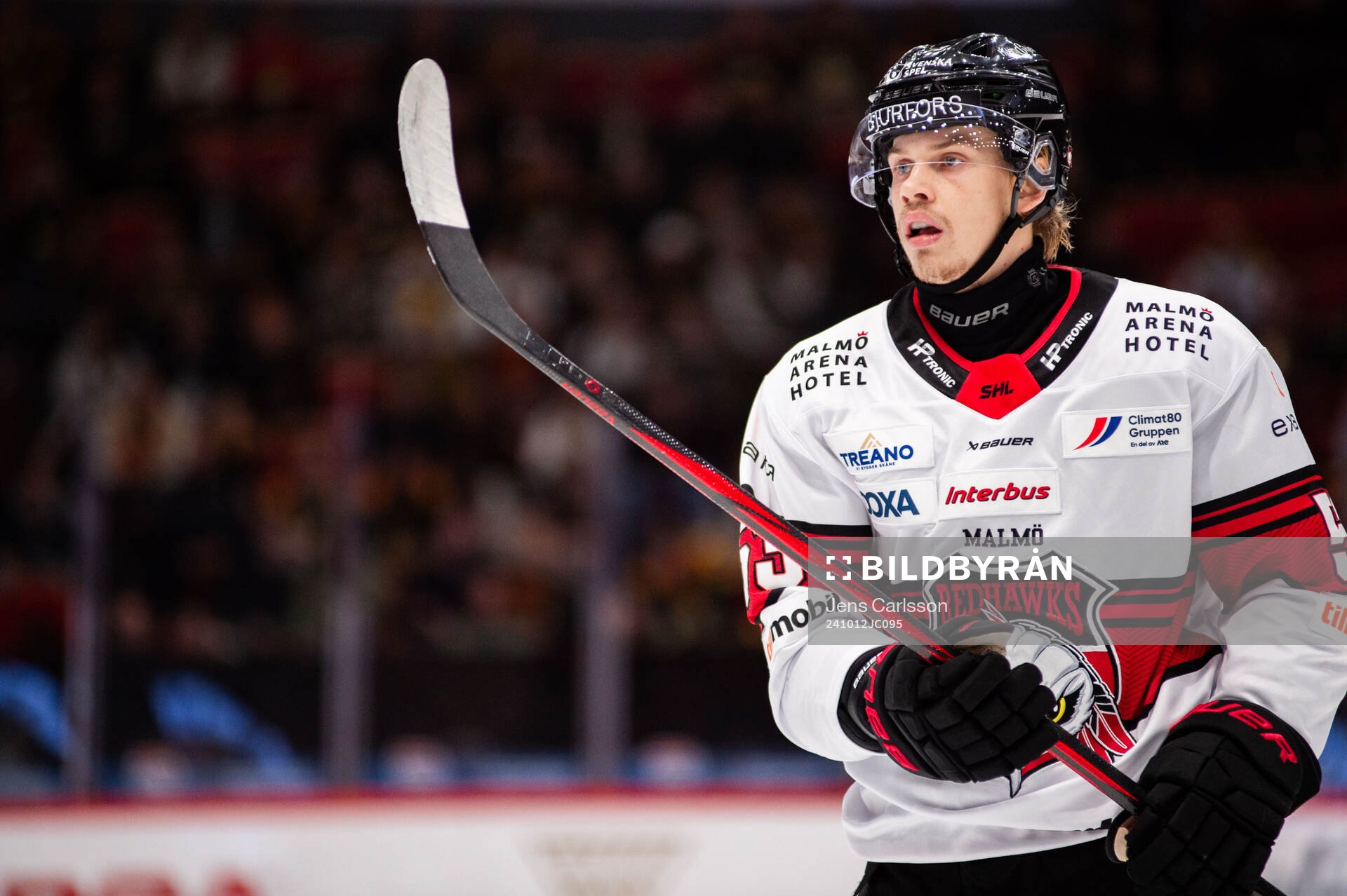 Malmö Redhawks Albert Sjöberg