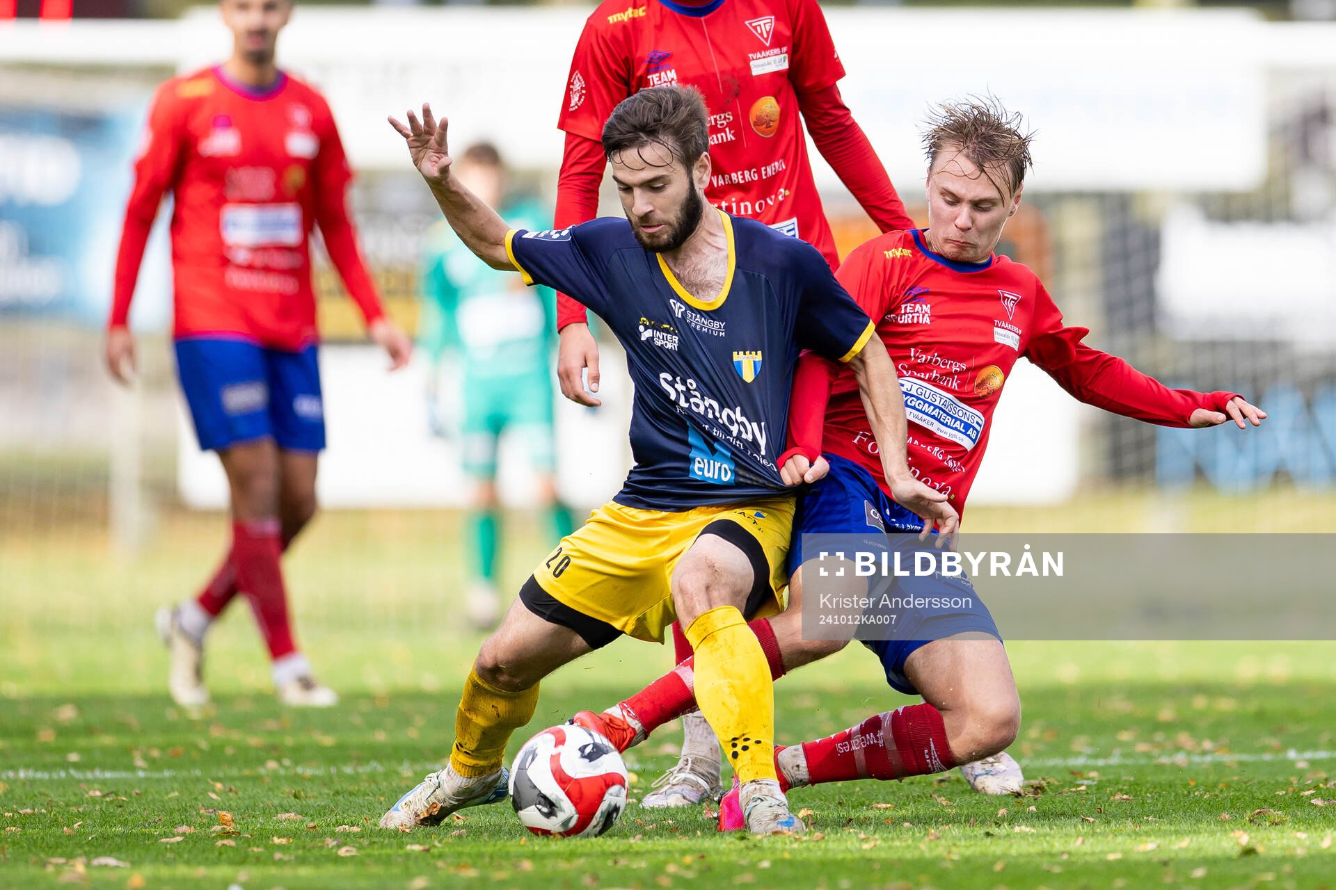 Torns Mirza Halvadzic och Tvååkers Felix Gustafsson under fotbollsmatchen i Ettan södra mellan Tvååker och Torn den 12 oktober 2024 i Tvååker.