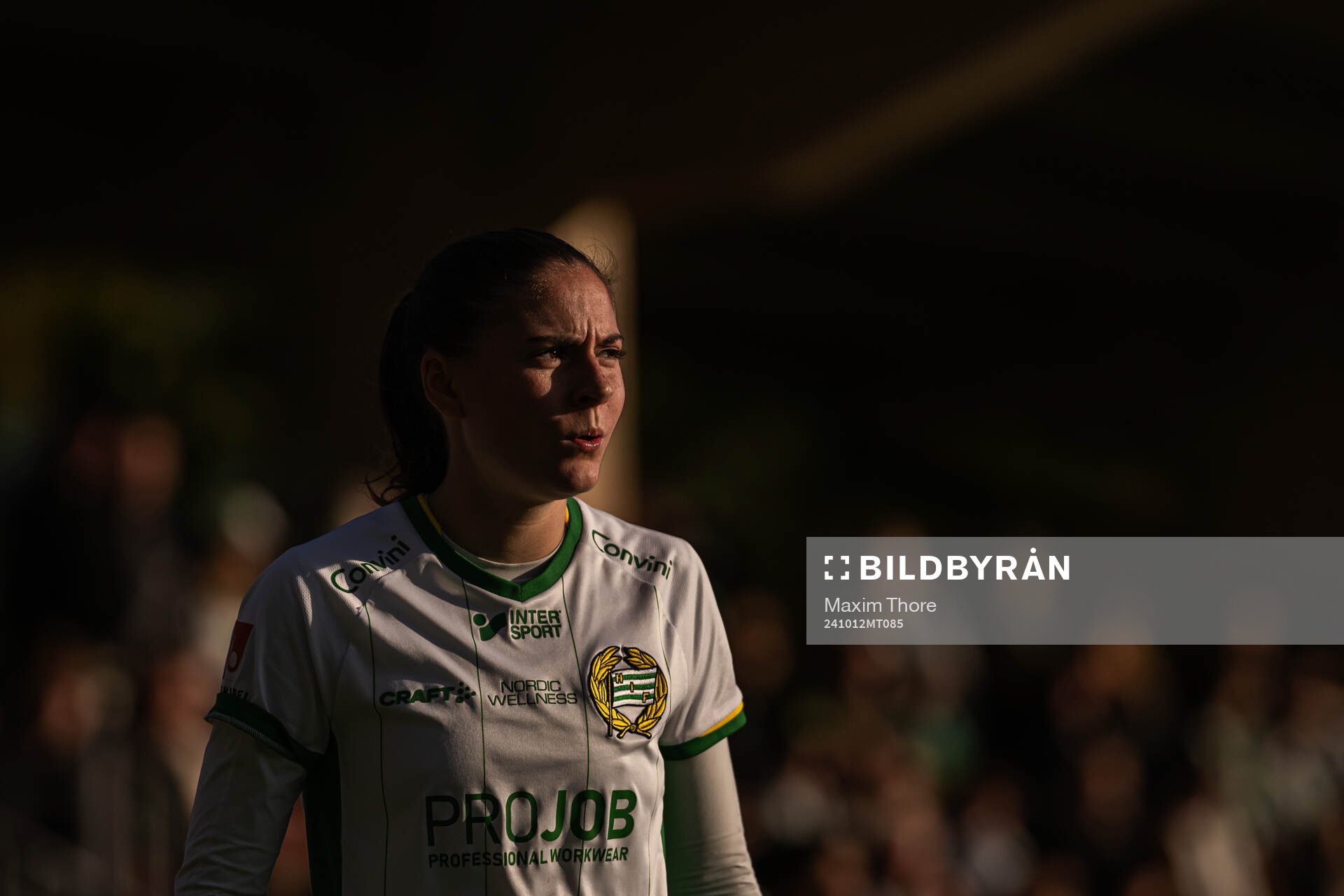 Hammarbys Vilde Hasund